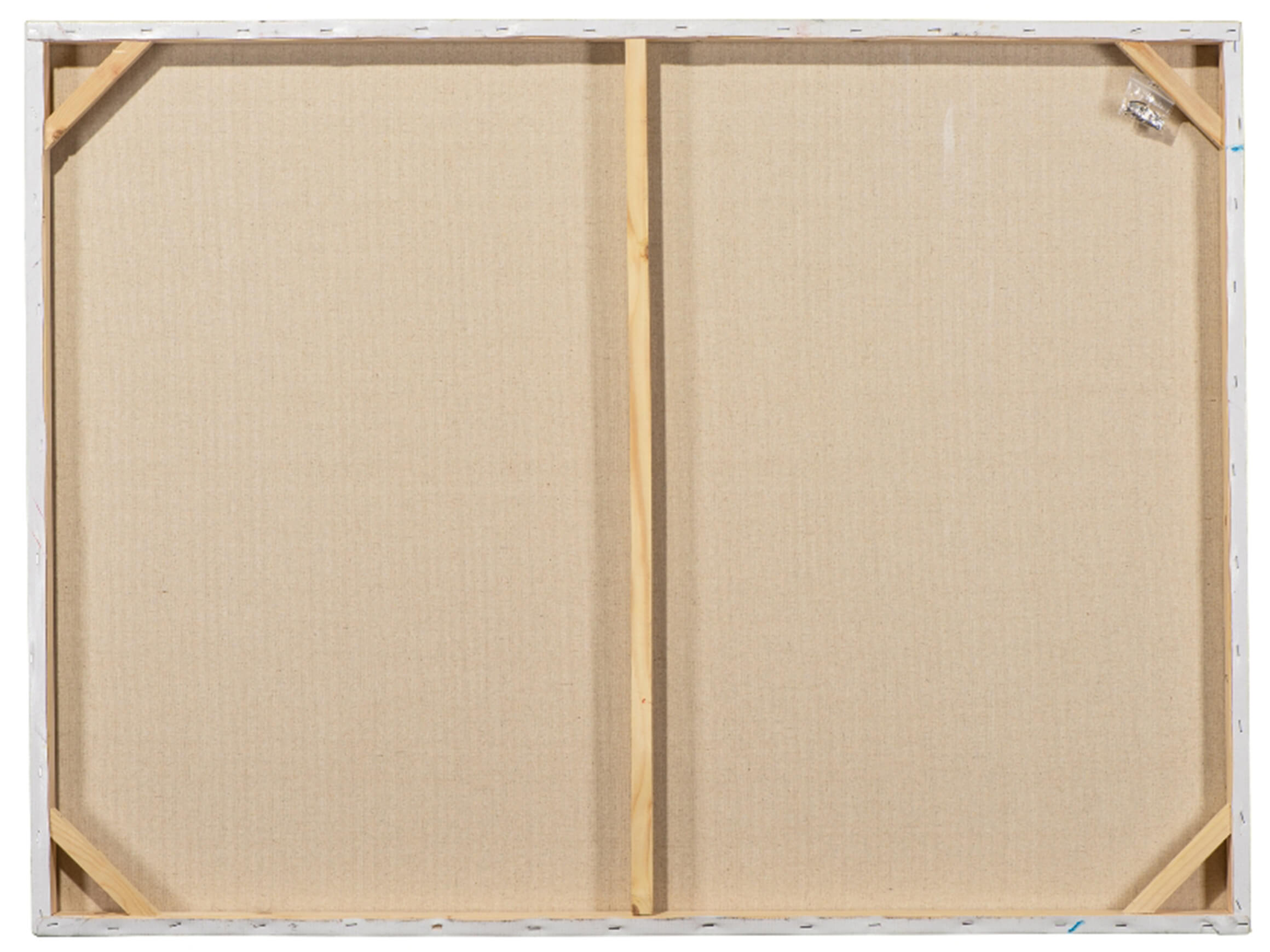 Bild Skatrunde mit Hunden image LAND