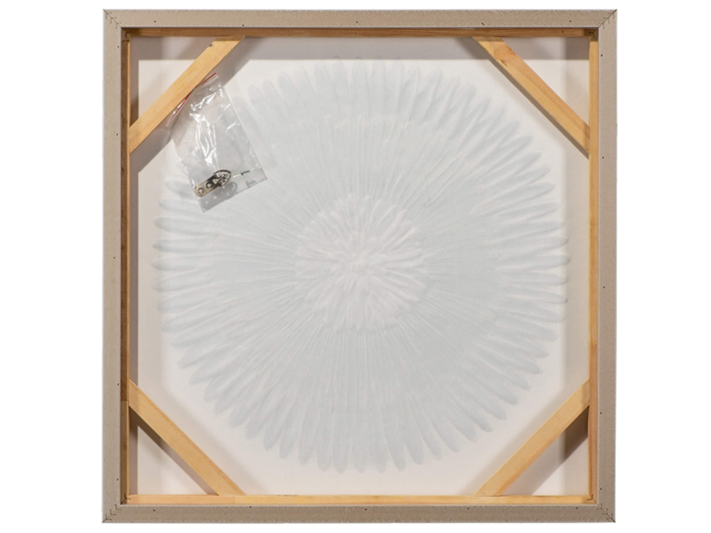 Bild mit Rahmen Rosafarbene Protea-Blüten image LAND