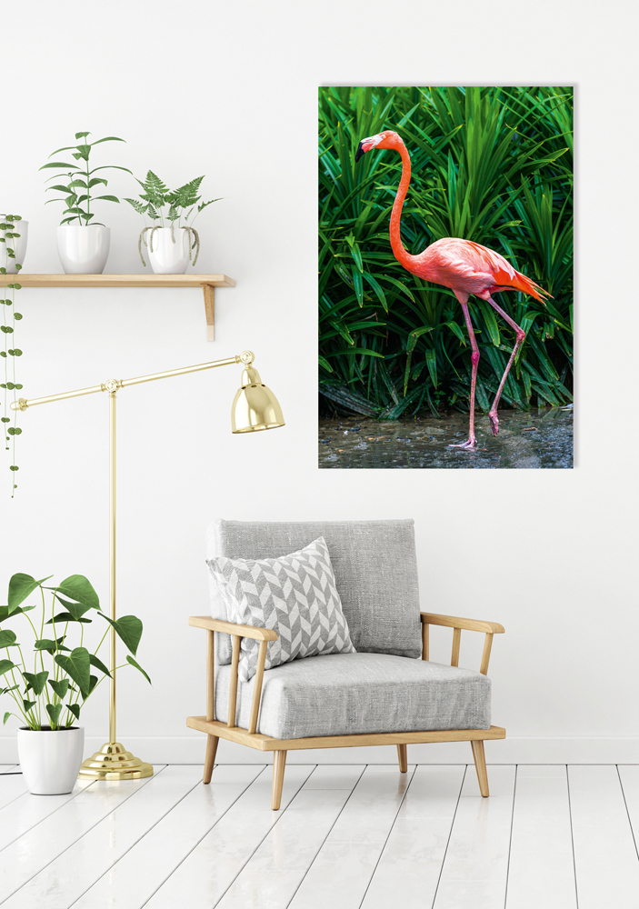 Alubild-Eleganter Flamingo-image LAND