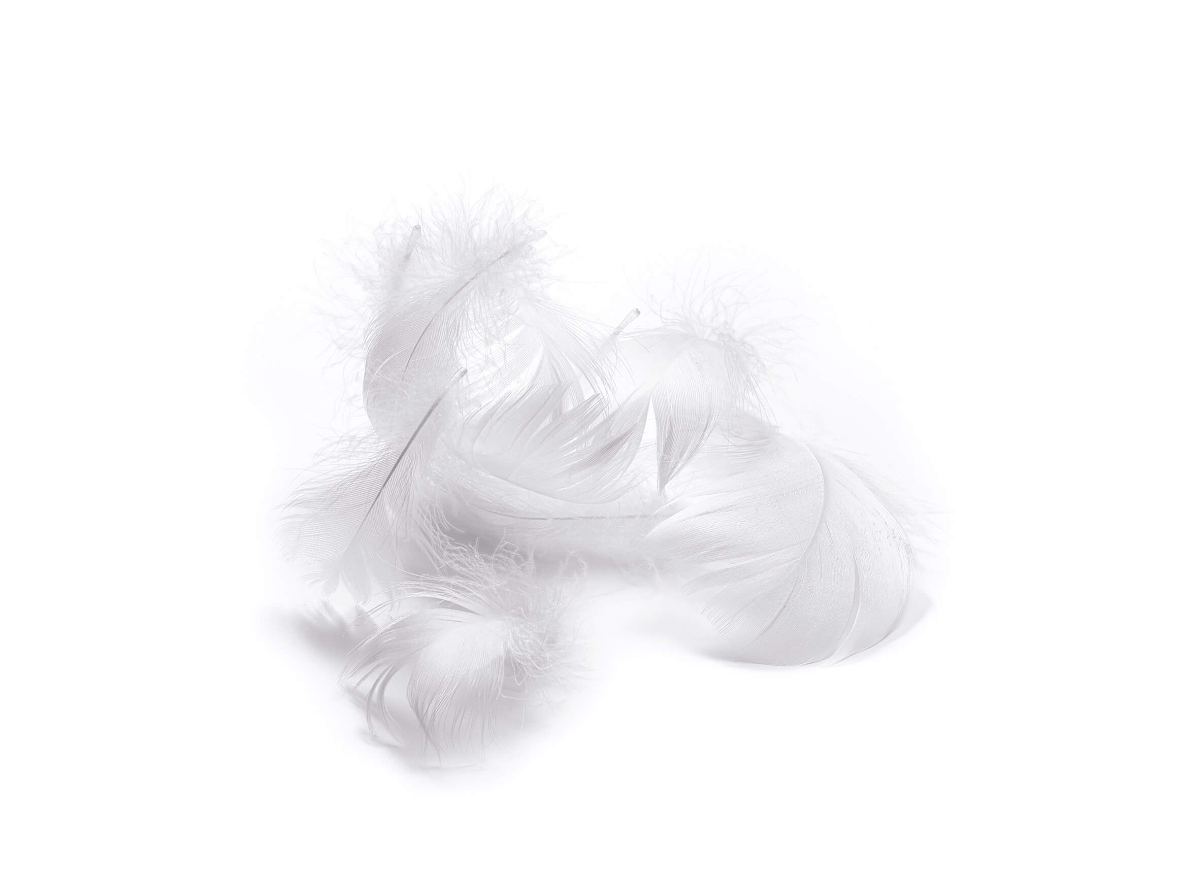 Kissen Capa Piuma Billerbeck / Farbe: Weiss / Material: