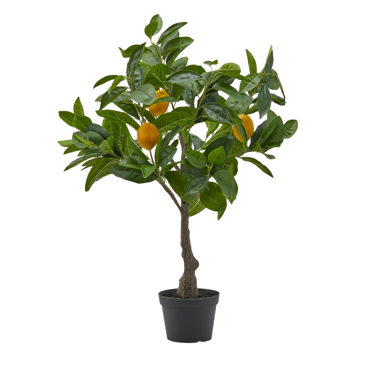 Kunstpflanze Zitronenbaum H: 70 cm Edg