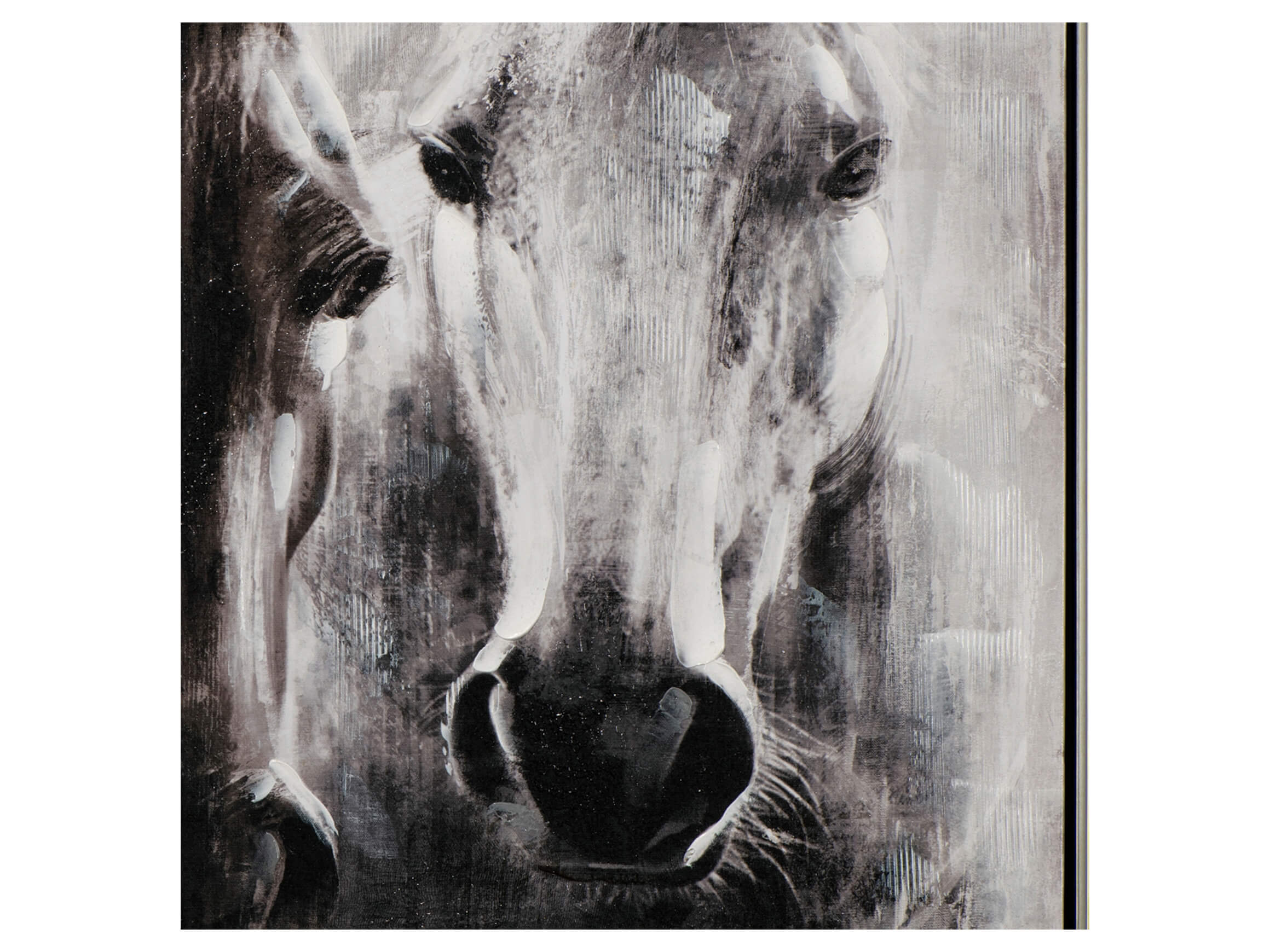 Picture Horses image LAND / Size: 82 x 82 cm