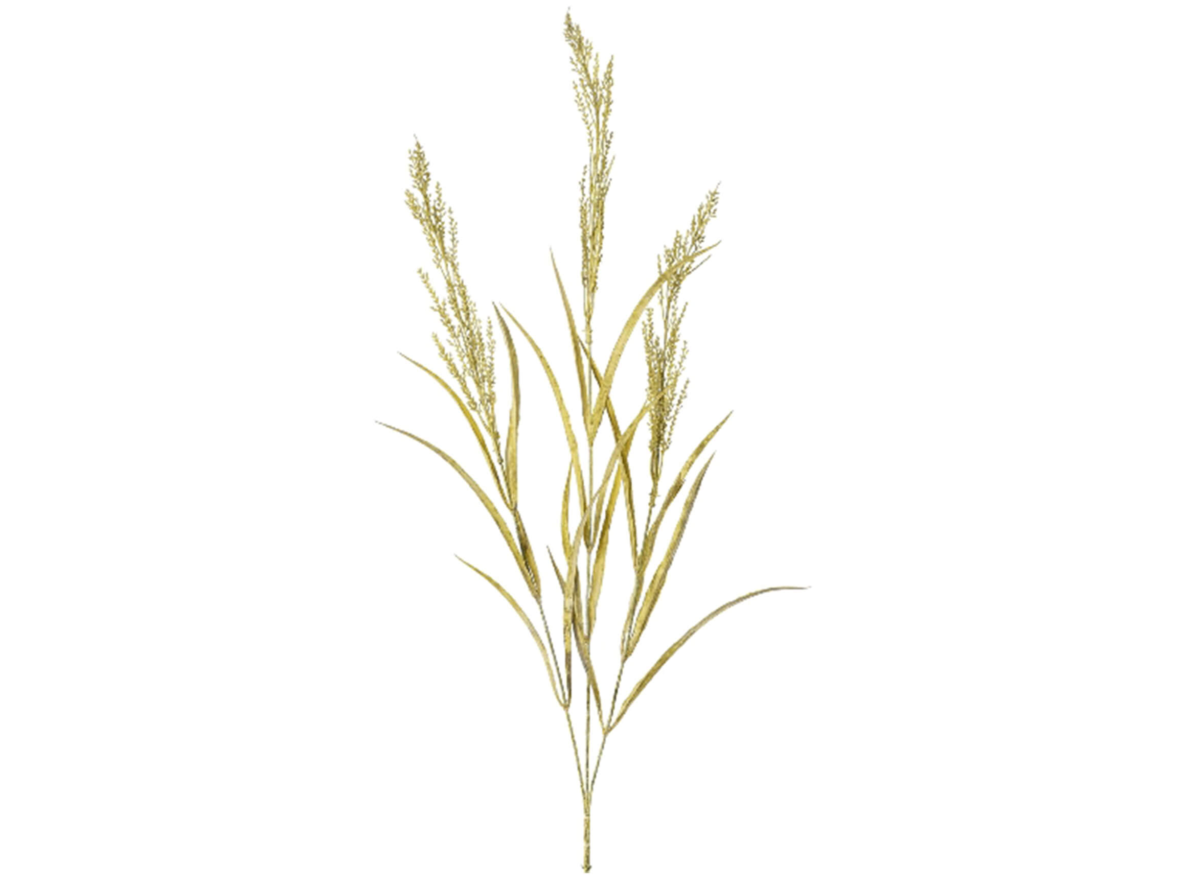 Kunstblume Reitgras Natur H: 84 cm Gasper