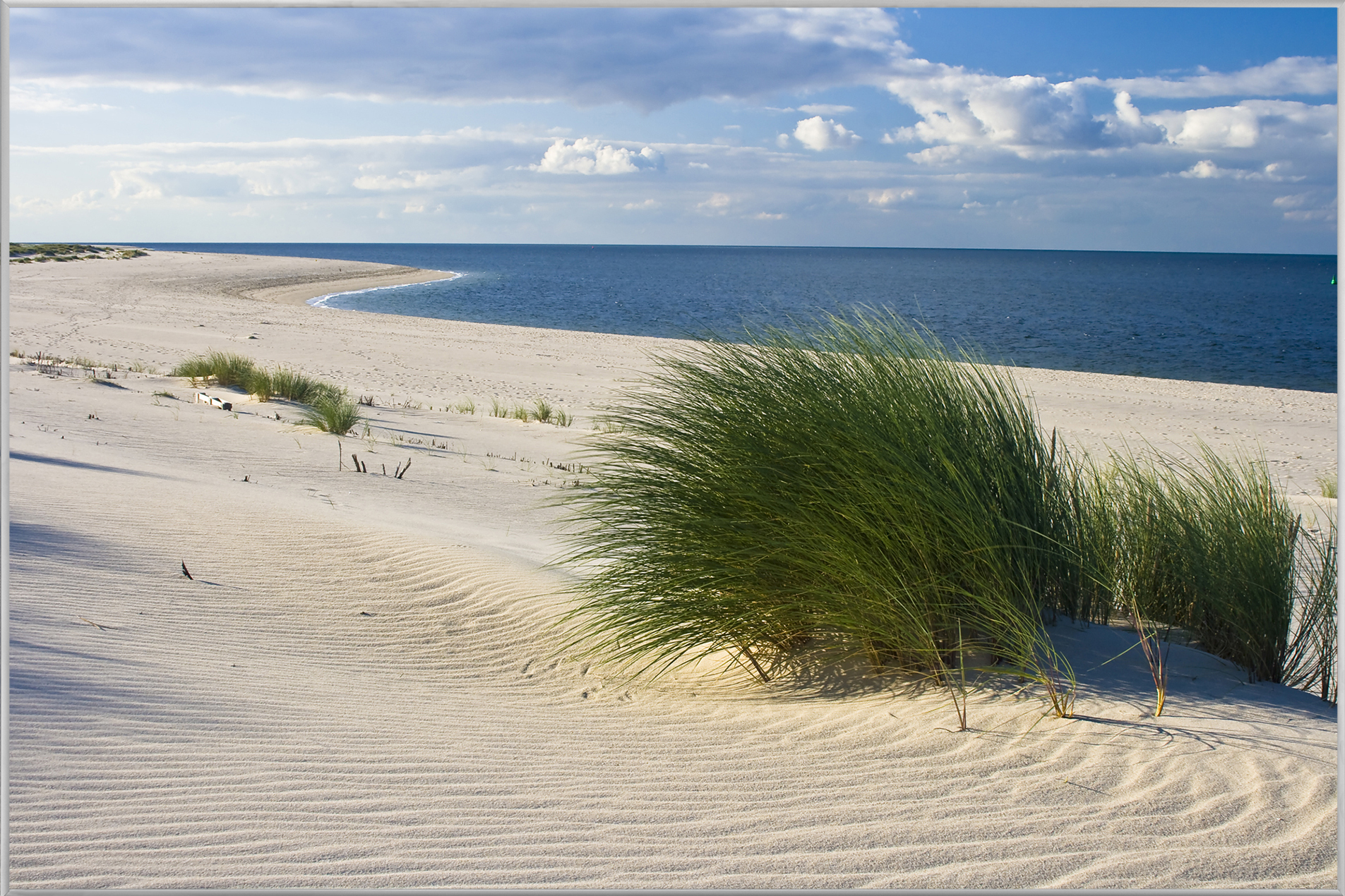 Bild mit Rahmen Strand mit Dünengras image LAND