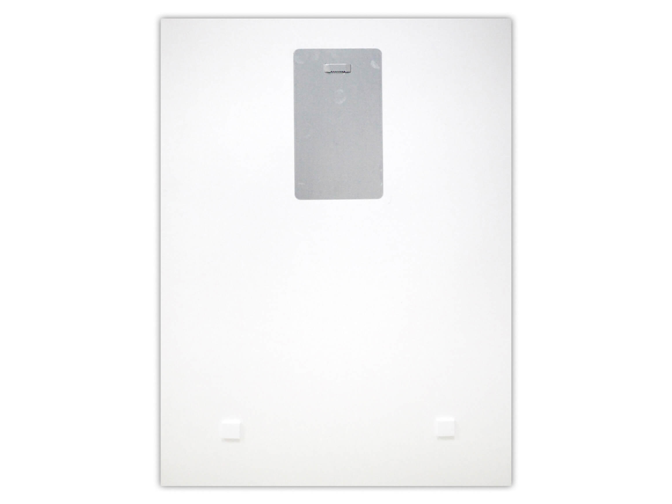 Digitaldruck auf Glas Blaue Feigen image LAND / Grösse: 80 x 60 cm