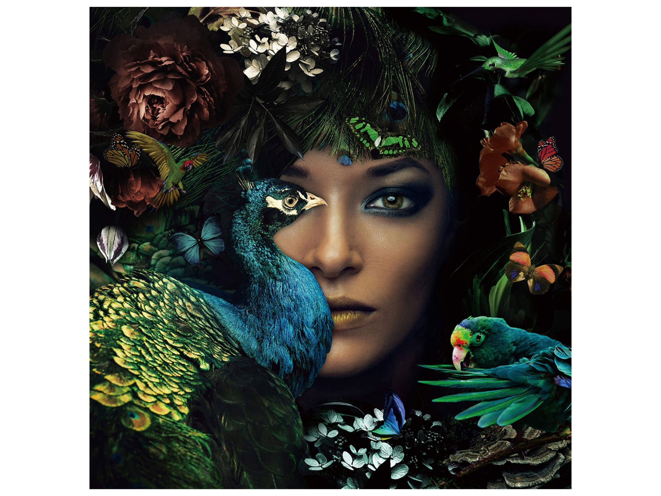 Digitaldruck auf Glas Die Lady und Der Pfau image LAND