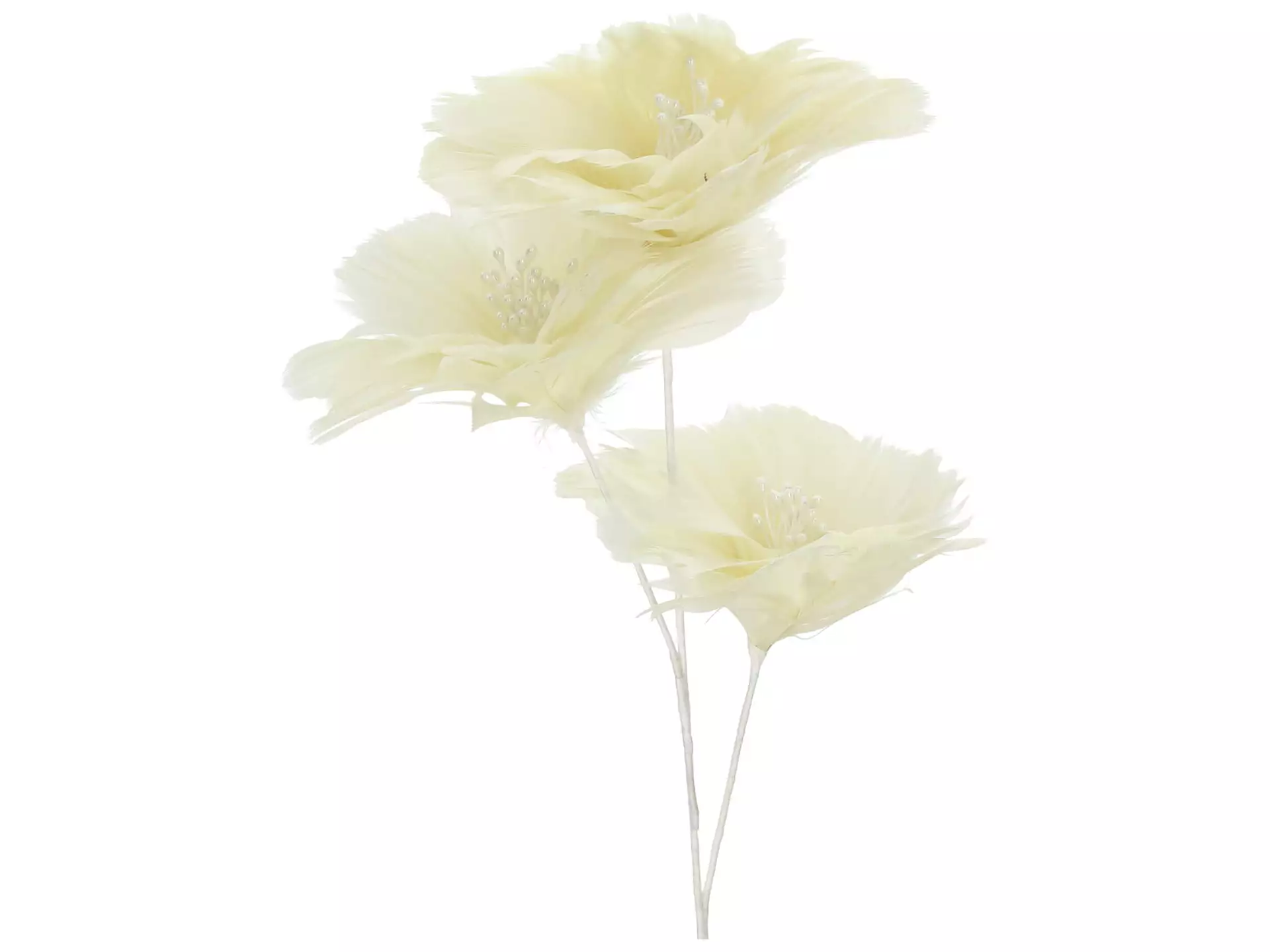 Kunstblume Federblume Creme H: 75 cm Kersten / Farbe: Weiss