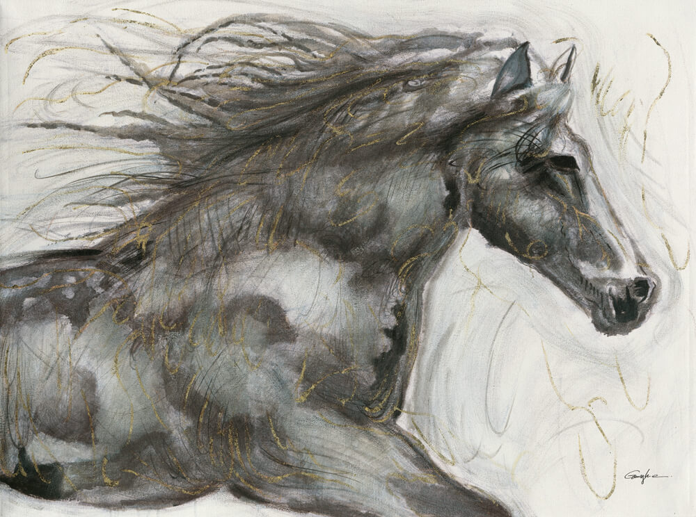 Bild Pferde in Grau image LAND