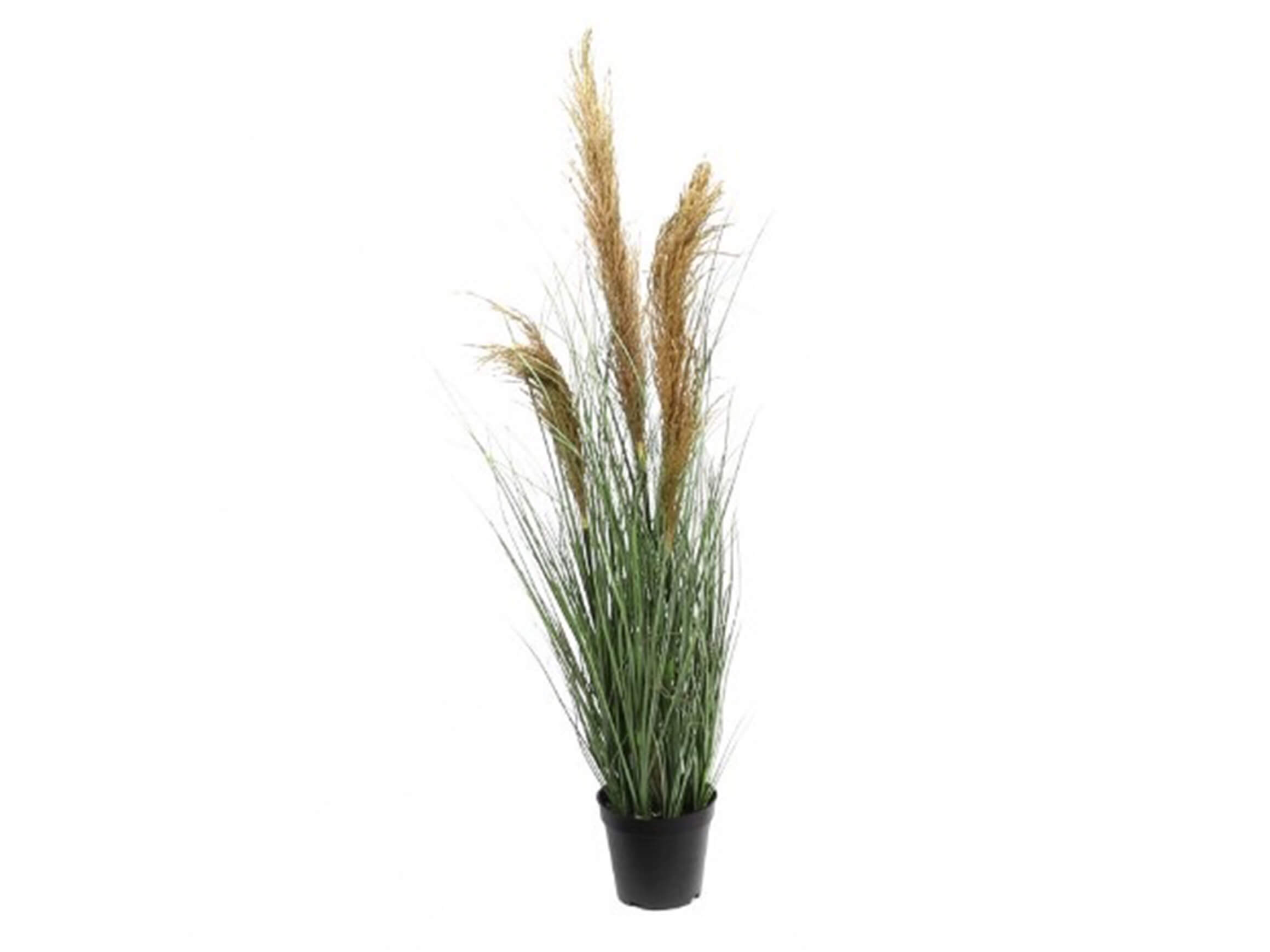 Decofinder Kunstpflanzen Pampasgras H: 86 cm  | Schubiger Möbel