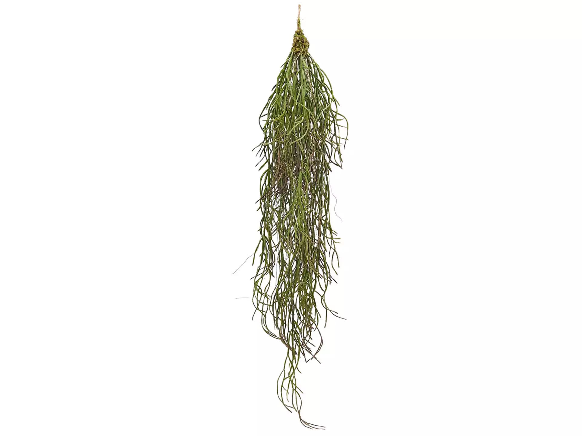Kunstpflanze Kaktus H: 84 cm Edg