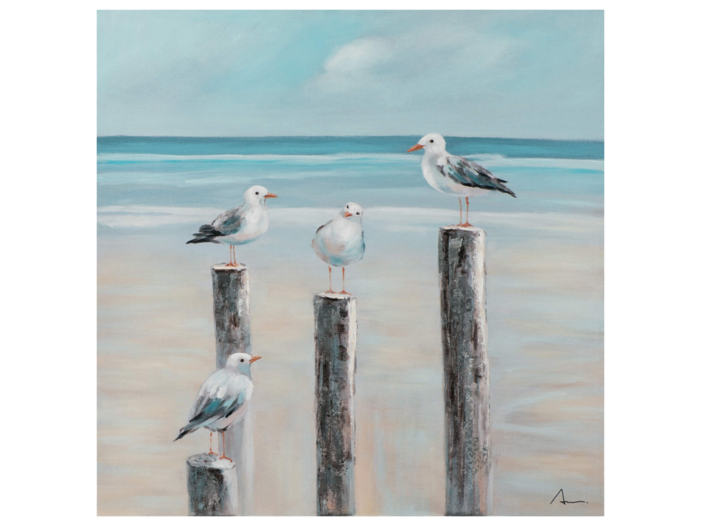 Bild Möwen an Der See 2 image LAND