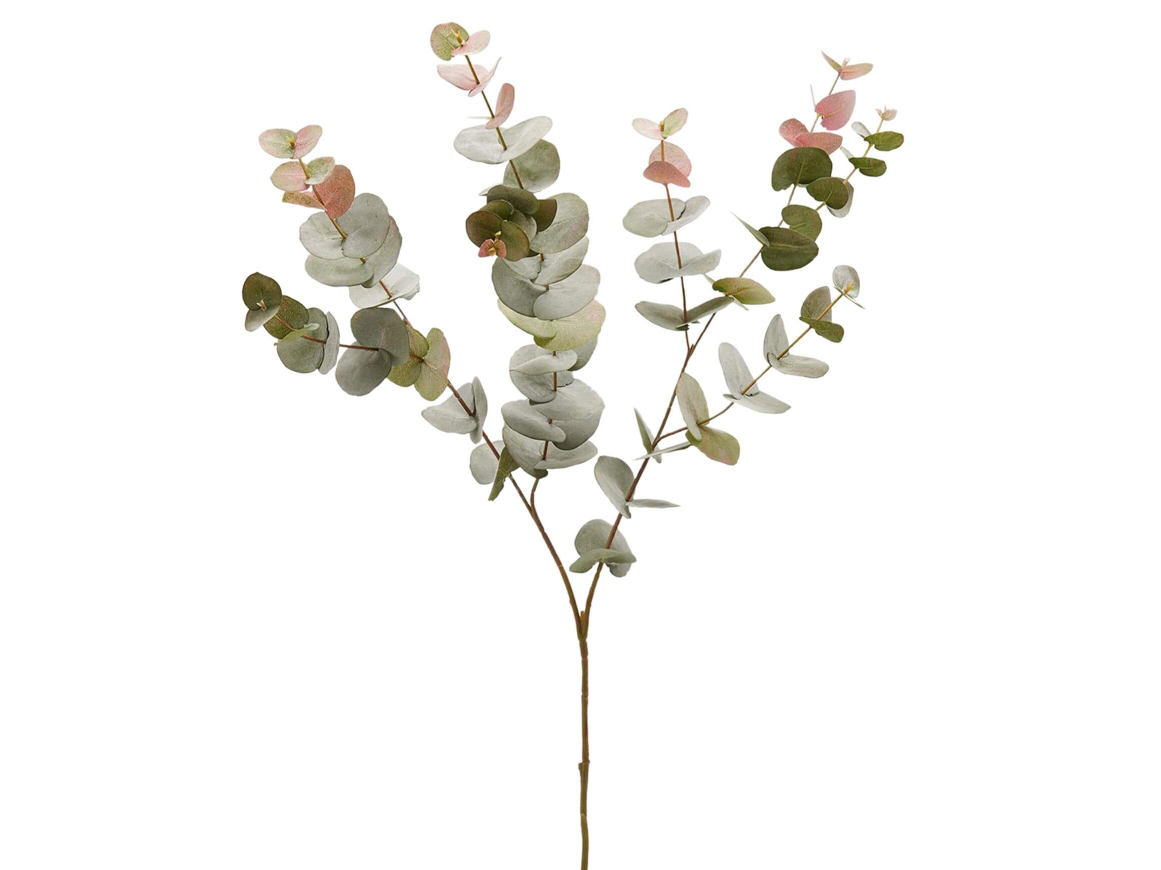 Kunstblume Eucalypthus Edg / Grösse: x cm