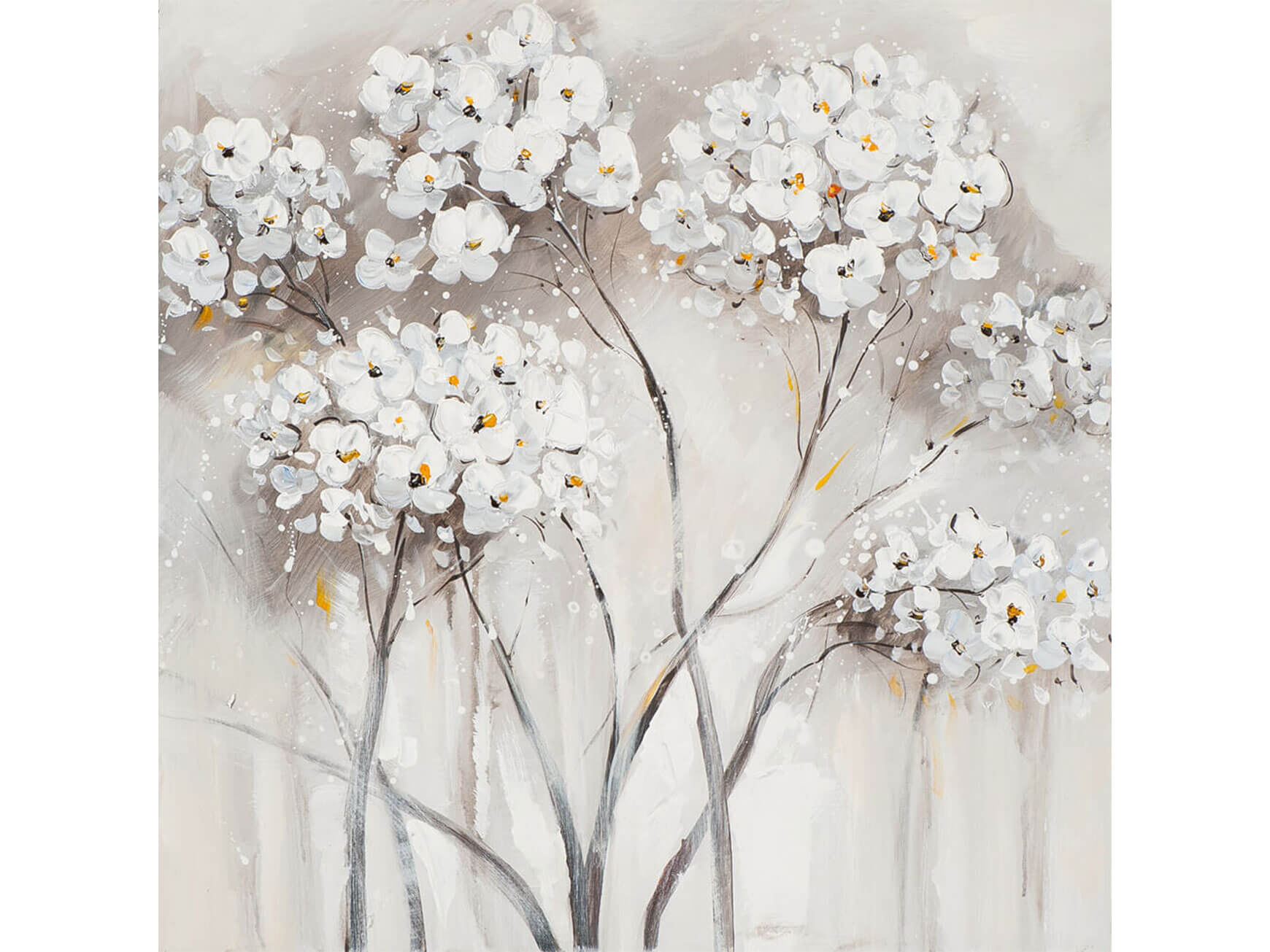 Bild Blumen, Weiss/Orange image LAND