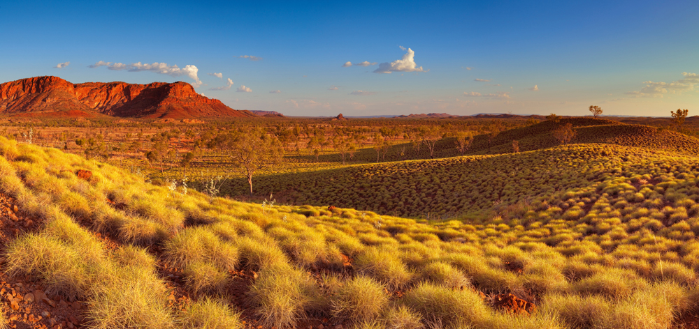 Alubild-Arizona-image LAND