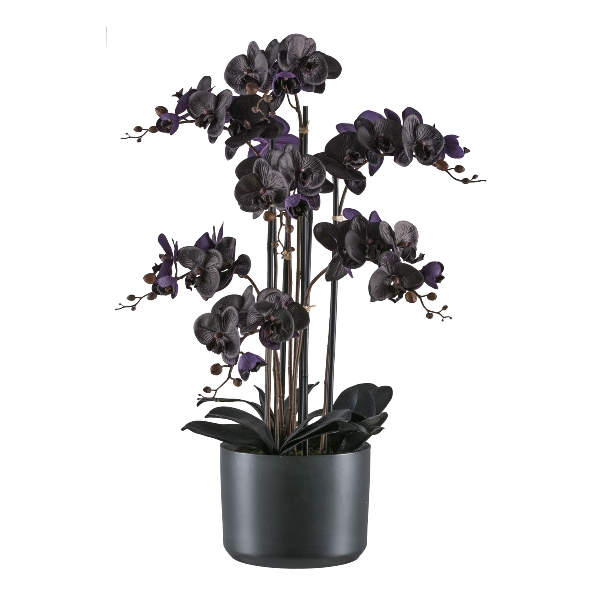 Gasper Kunstpflanzen Phalaenopsis im Keramiktopf, Schwarz  | Schubiger Möbel