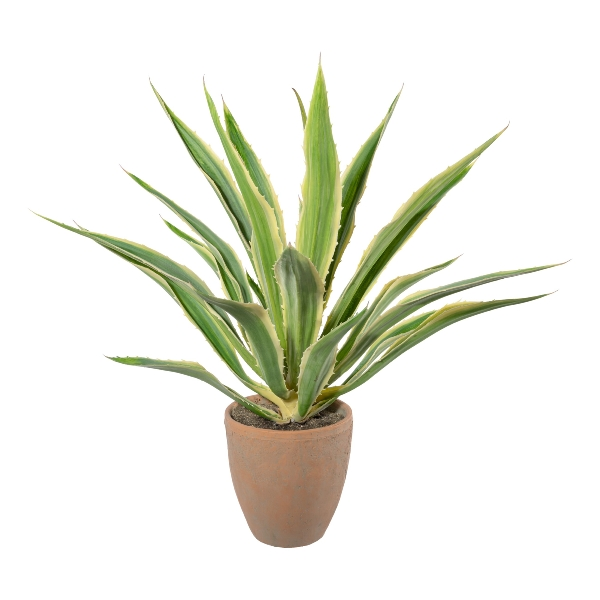 Kunstpflanze Agave im Terracottatopf, Grüncreme H: 85 cm Gasper