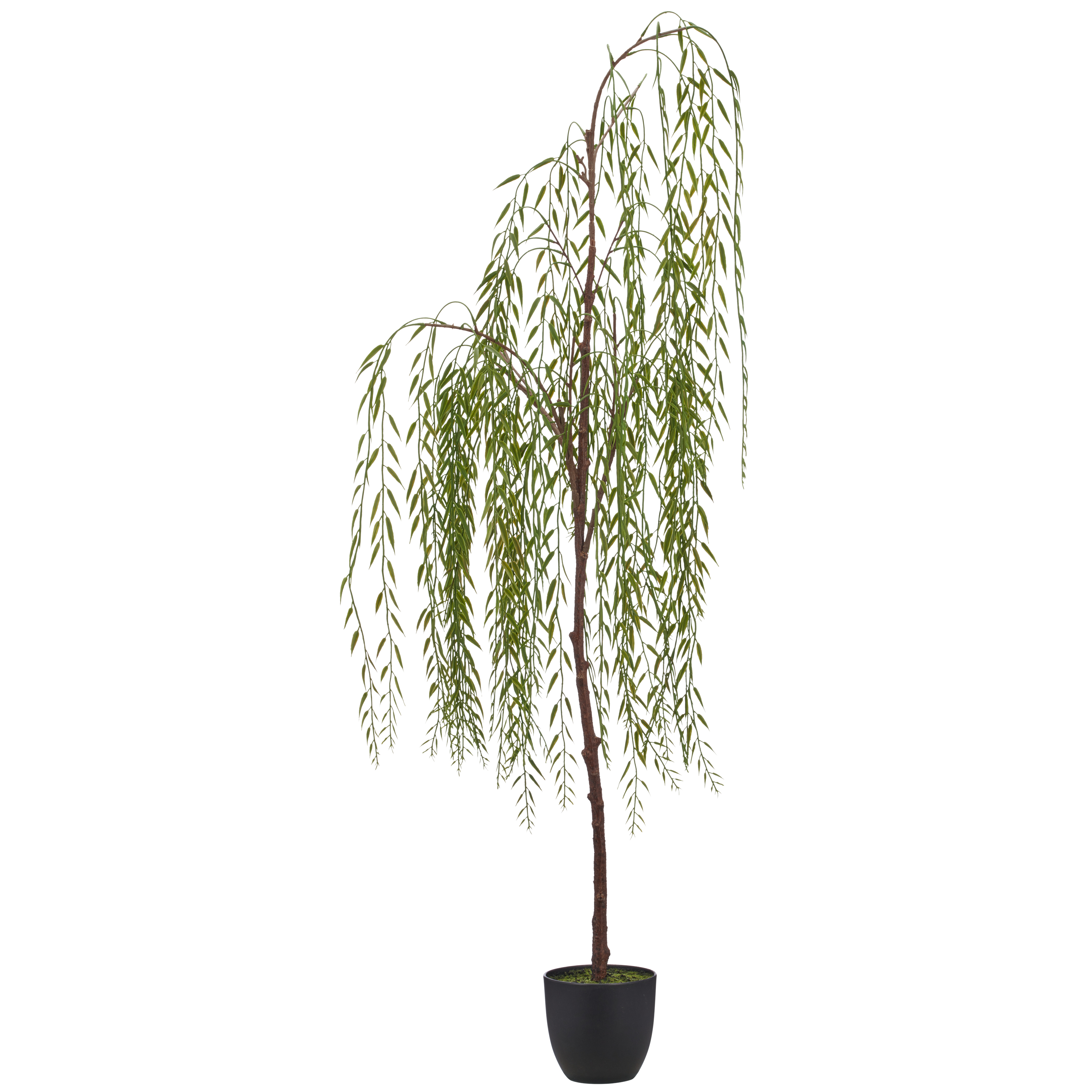 Kunstpflanze Weidehängebaum Gasper