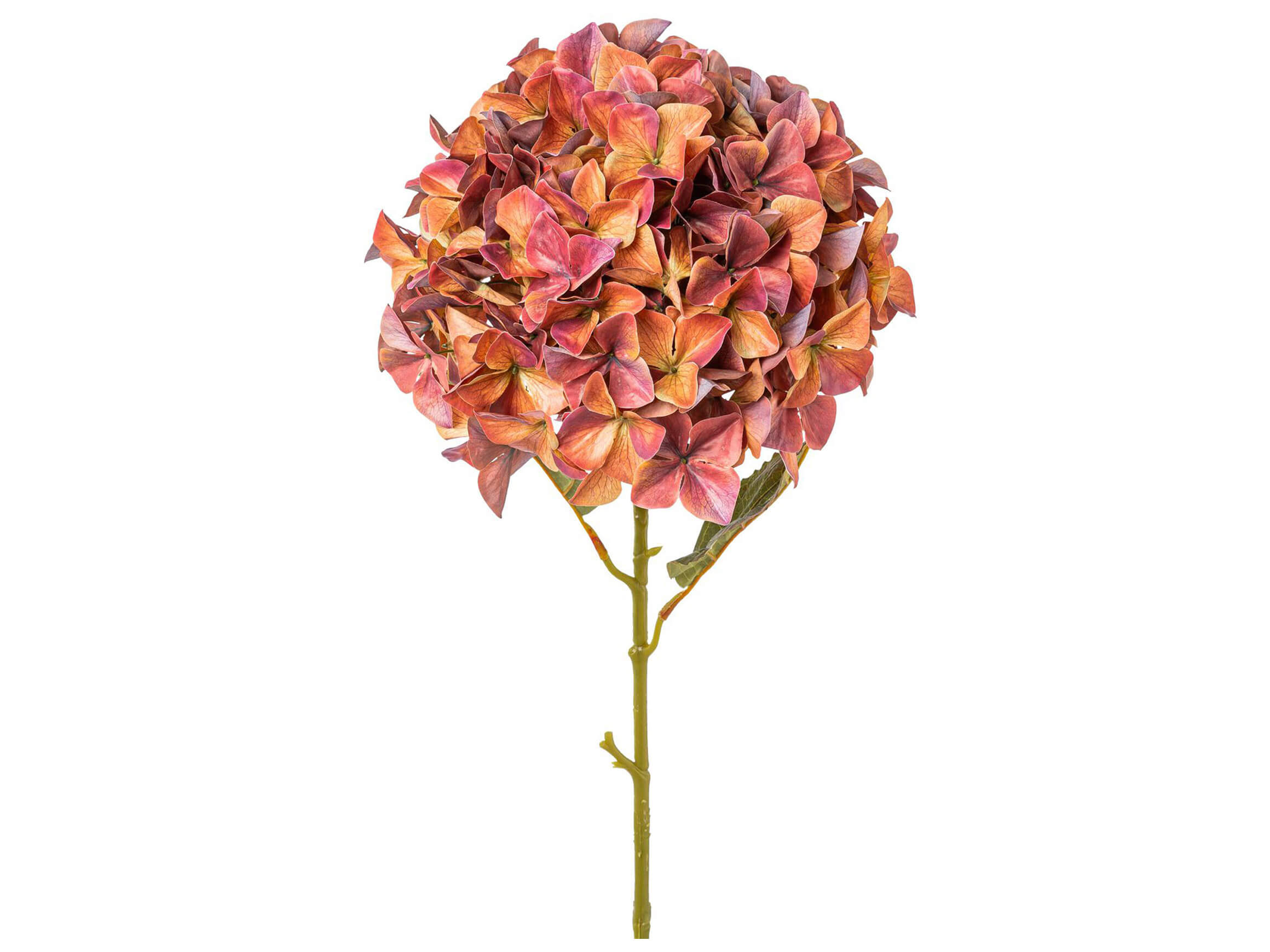 Gasper Kunstblume Hortensie Rot-Braun H: 110 cm  | Schubiger Möbel