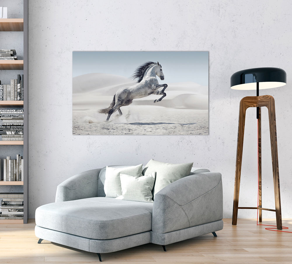 Alubild-Wildpferd-image LAND