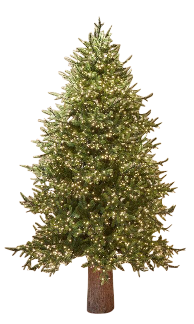 Edg Weihnachtsbaum Pino 4000 Led H: 210 cm  | Schubiger Möbel