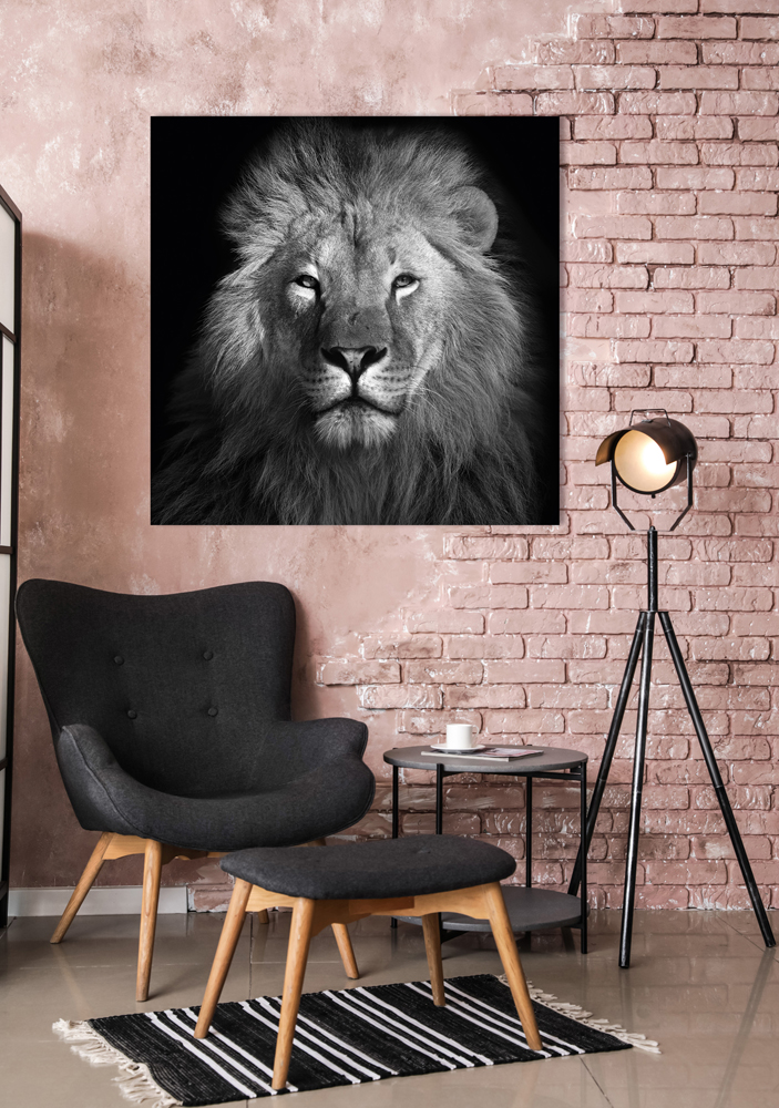 Alubild-König Der Löwen-image LAND