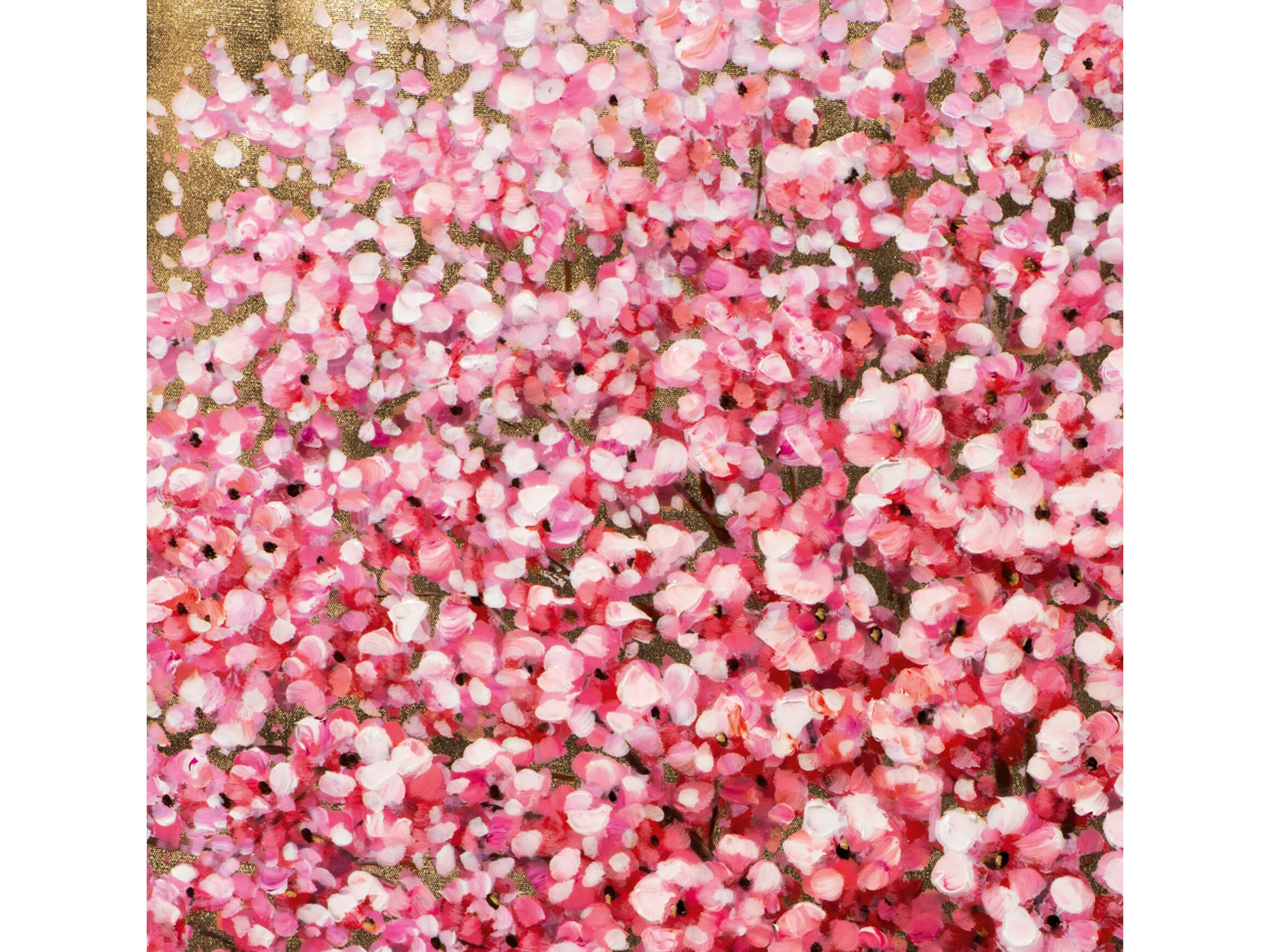 Bild Blühender Baum mit Hochglanz 2 image LAND