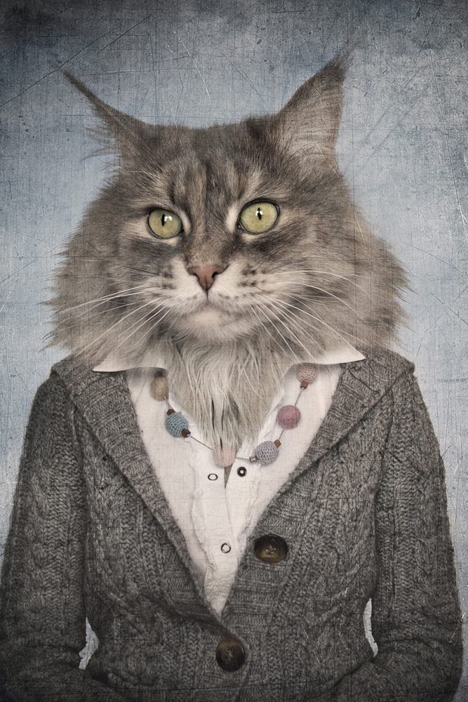 Alubild-Katzenfrau-image LAND
