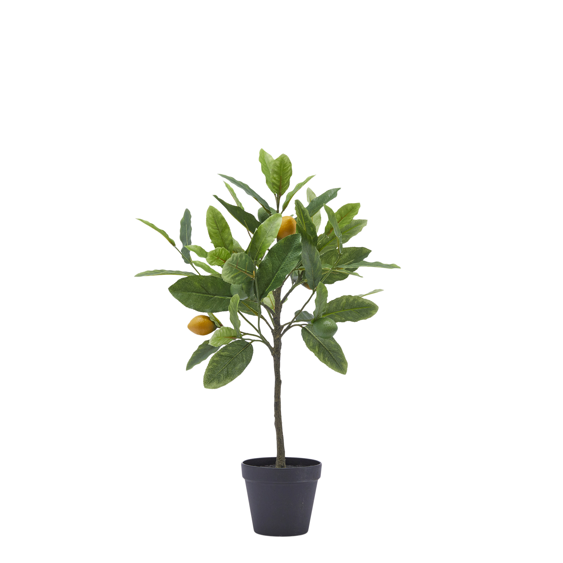 Edg Kunstpflanze Zitronenbaum H: 56 cm  | Schubiger Möbel