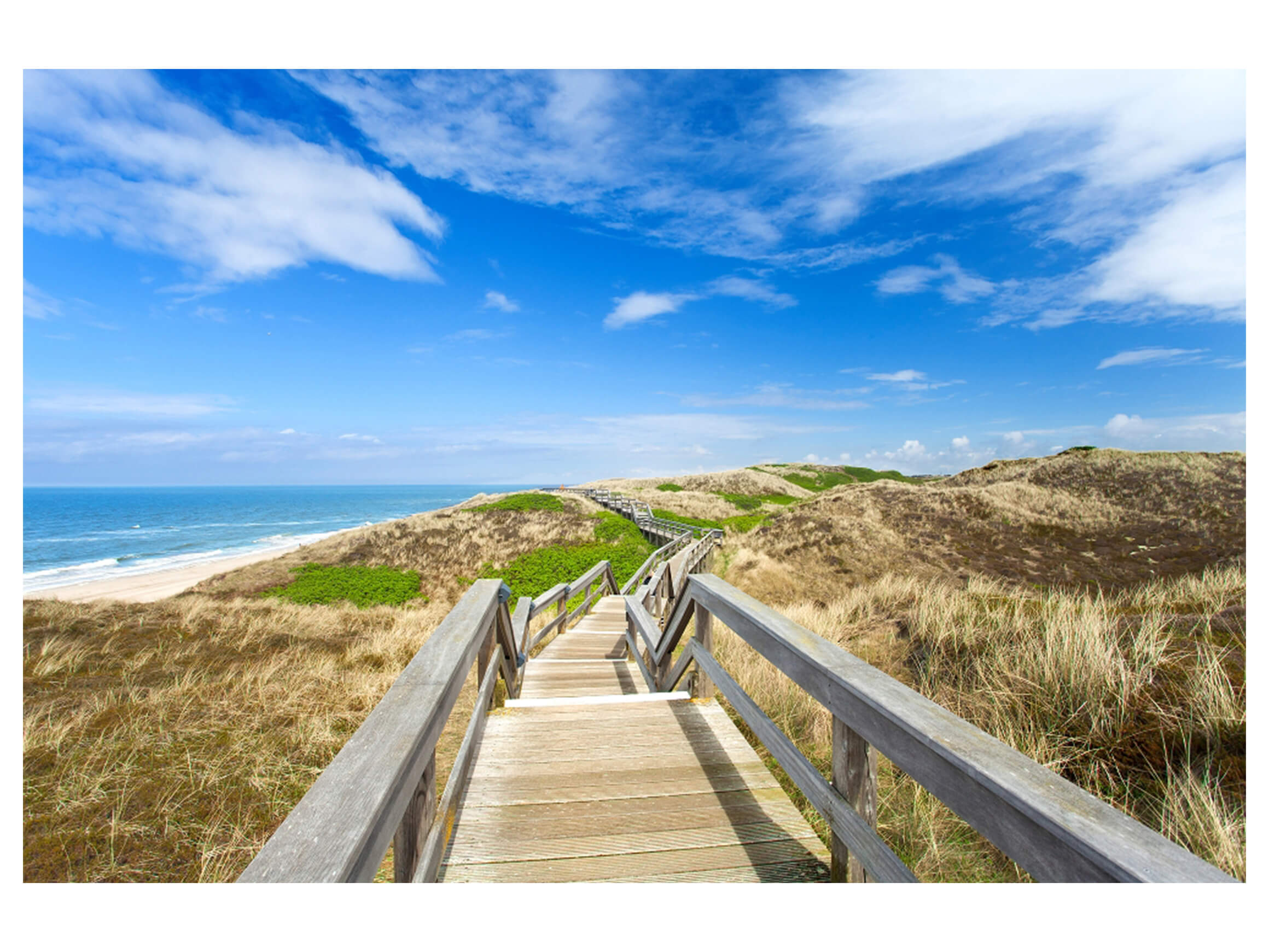 Digitaldruck auf Acrylglas Holzweg Zum Meer 2 image LAND / Grösse: 150 x 100 cm