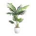 Kunstpflanze-Kentiapalme Grün H: 110 cm-Gasper
