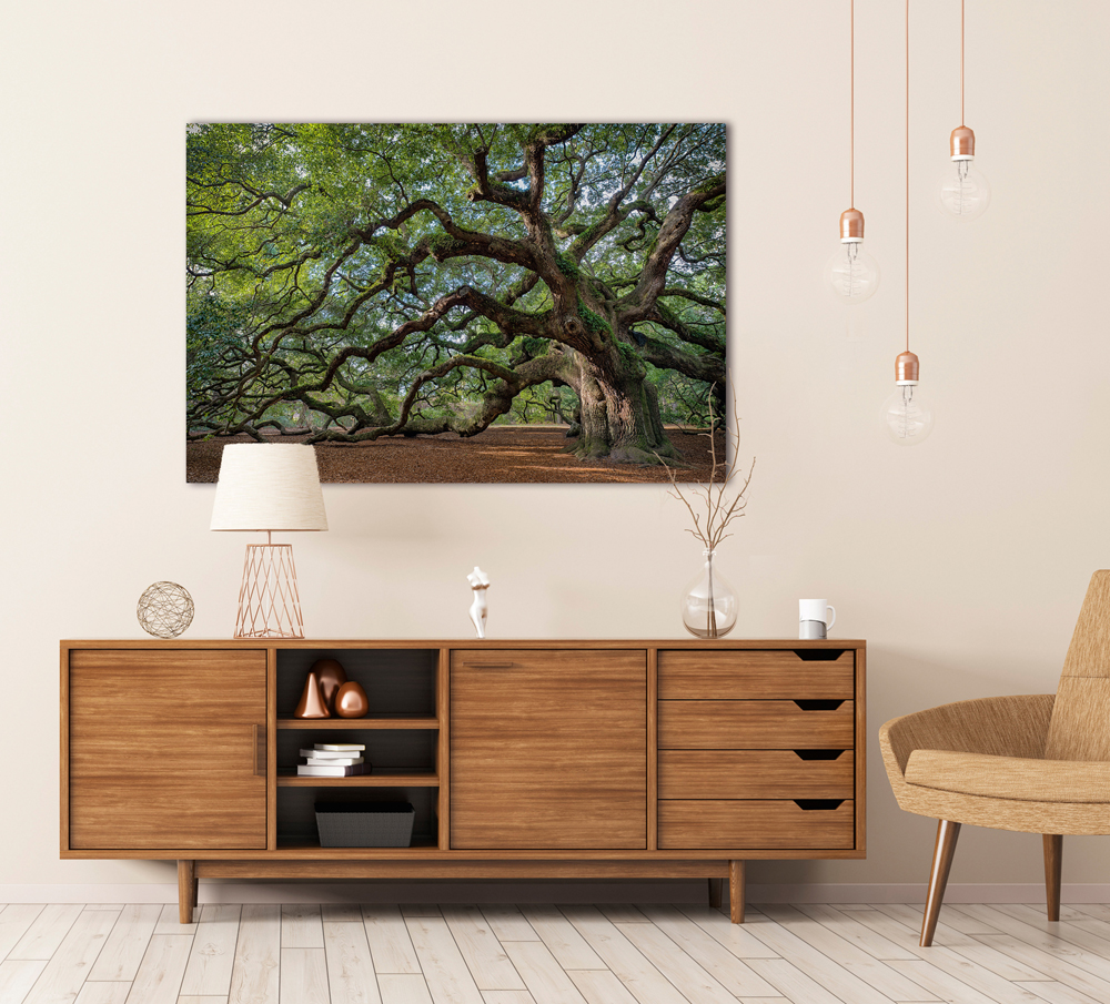 Alubild-Faszination Baum-image LAND