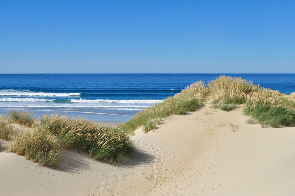 Alubild-Dünen am Meer 1-image LAND
