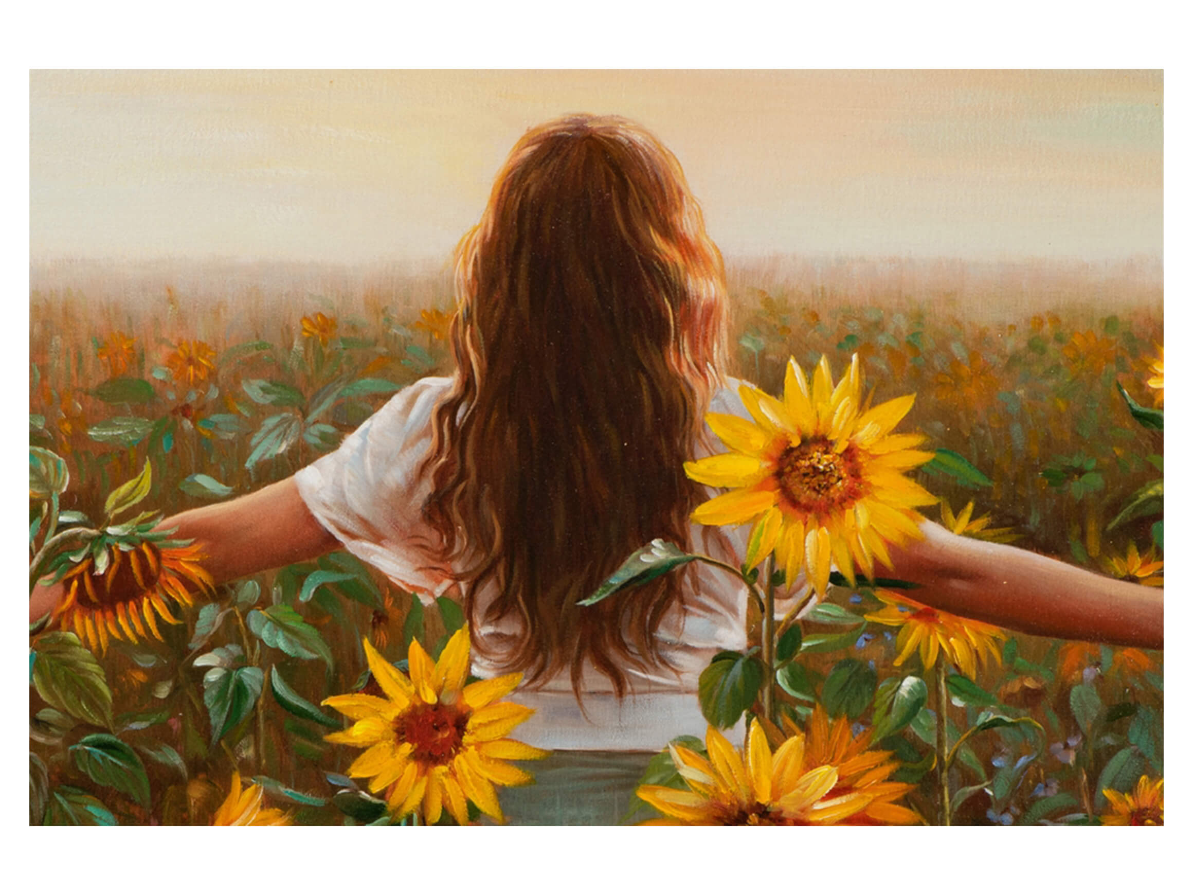 Bild Frau im Sonnenblumenfeld image LAND