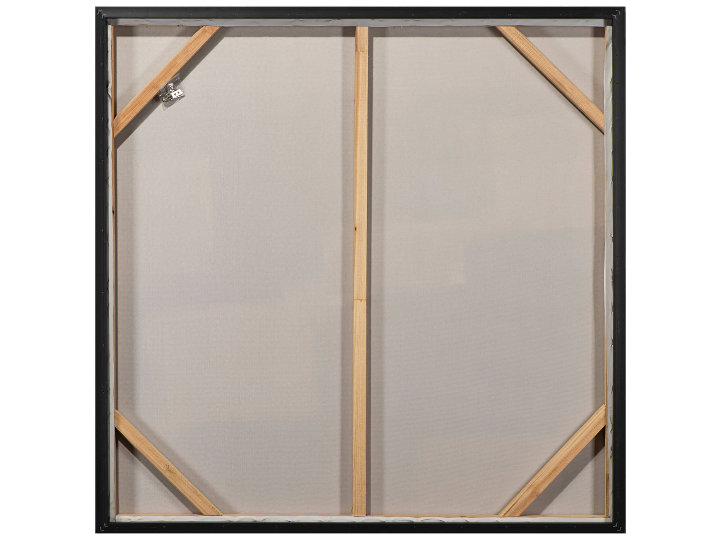 Bild Pferd mit Goldenen Tupfen image LAND