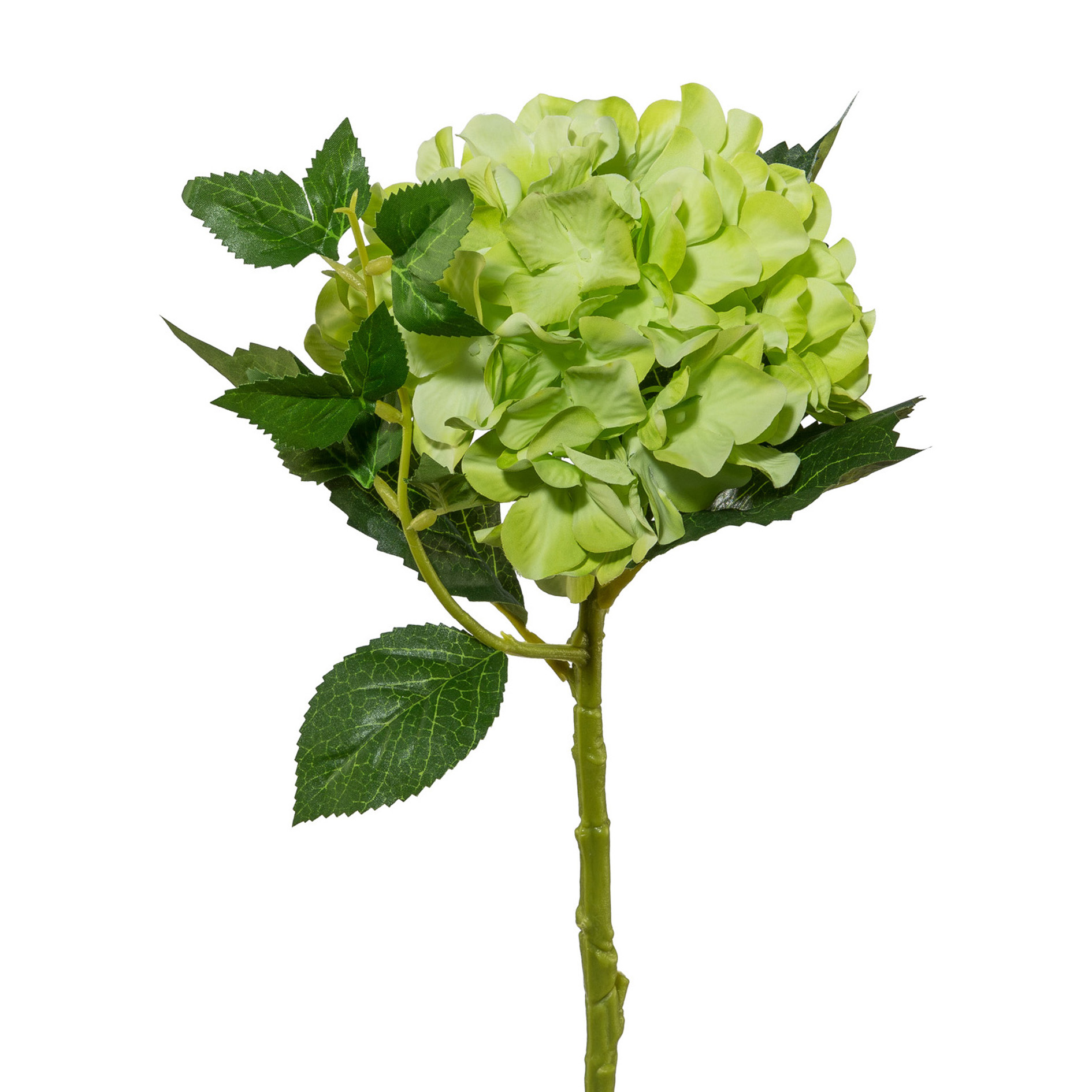 Gasper Kunstblume Hortensie, Grün  | Schubiger Möbel
