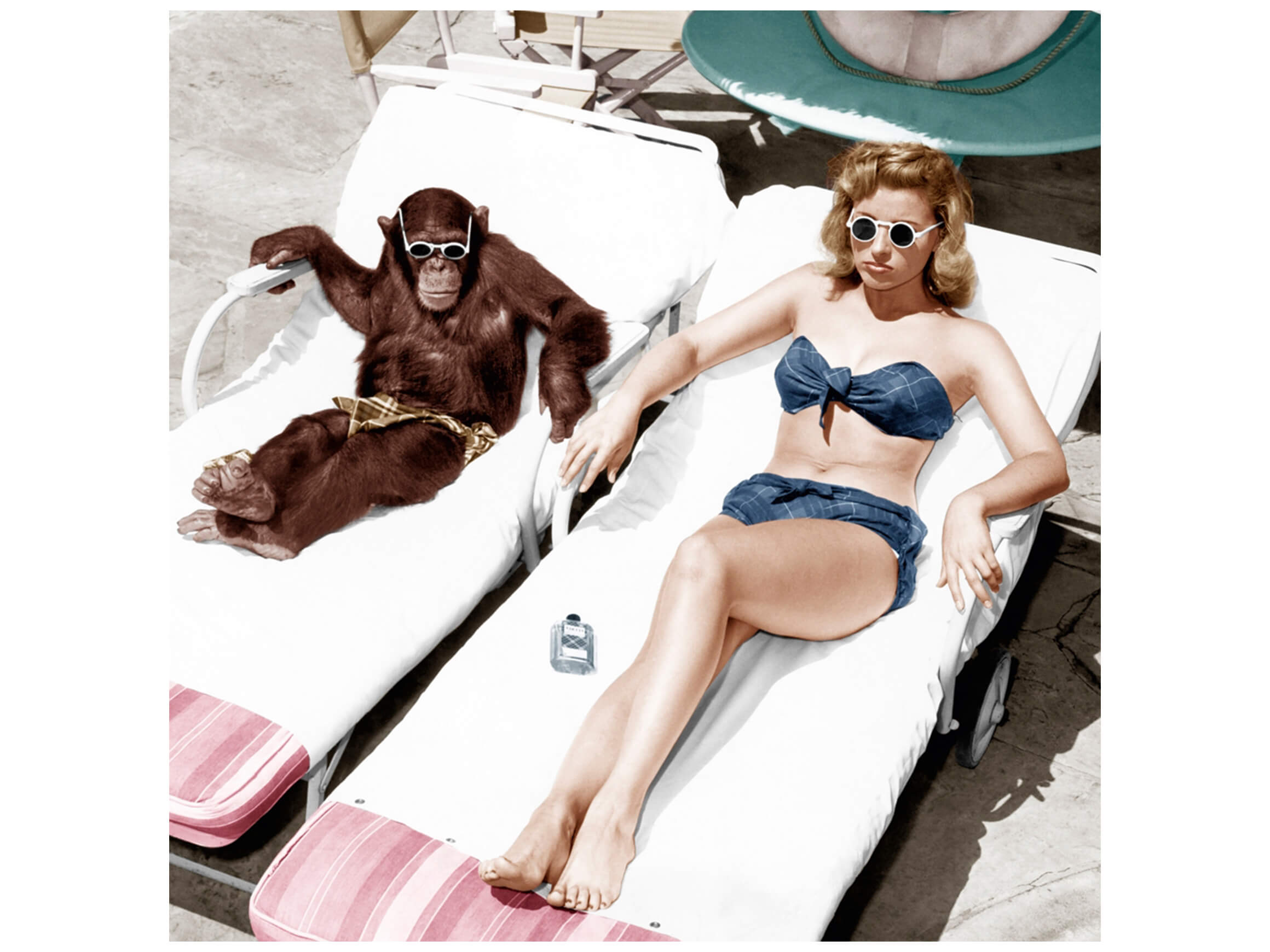 Digital print on glass bathing mermaid with chimpanzee image LAND