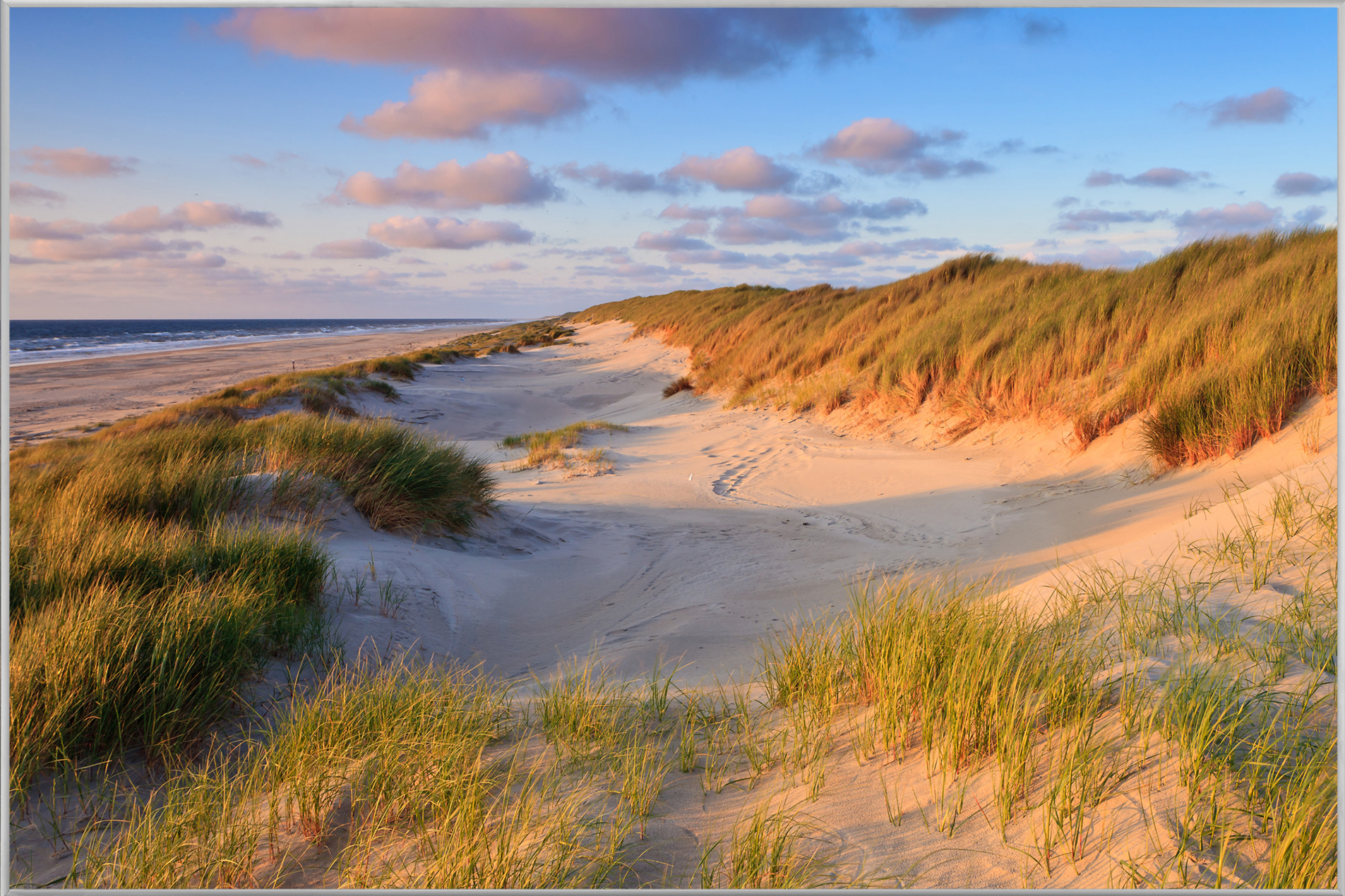 Bild mit Rahmen Dünen am Meer 2 image LAND