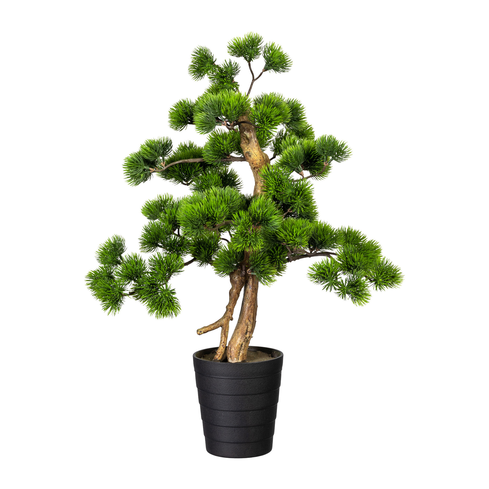 Gasper Kunstpflanze Bonsai Kiefer im Topf H: 90 cm  | Schubiger Möbel