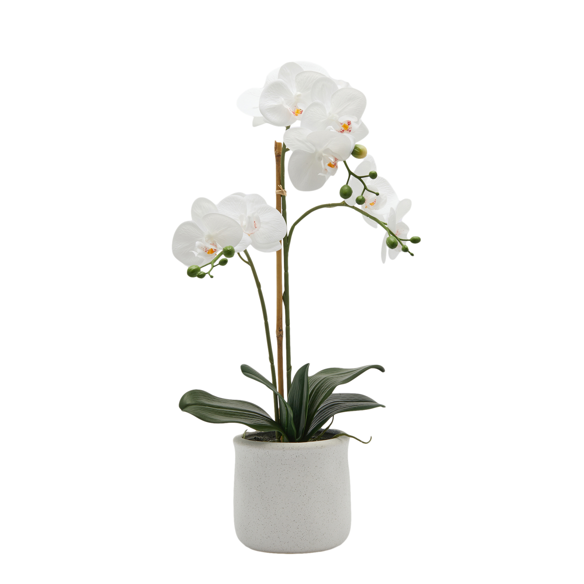 Kunstpflanze-Orchidee im Topf H: 56 cm-Edg