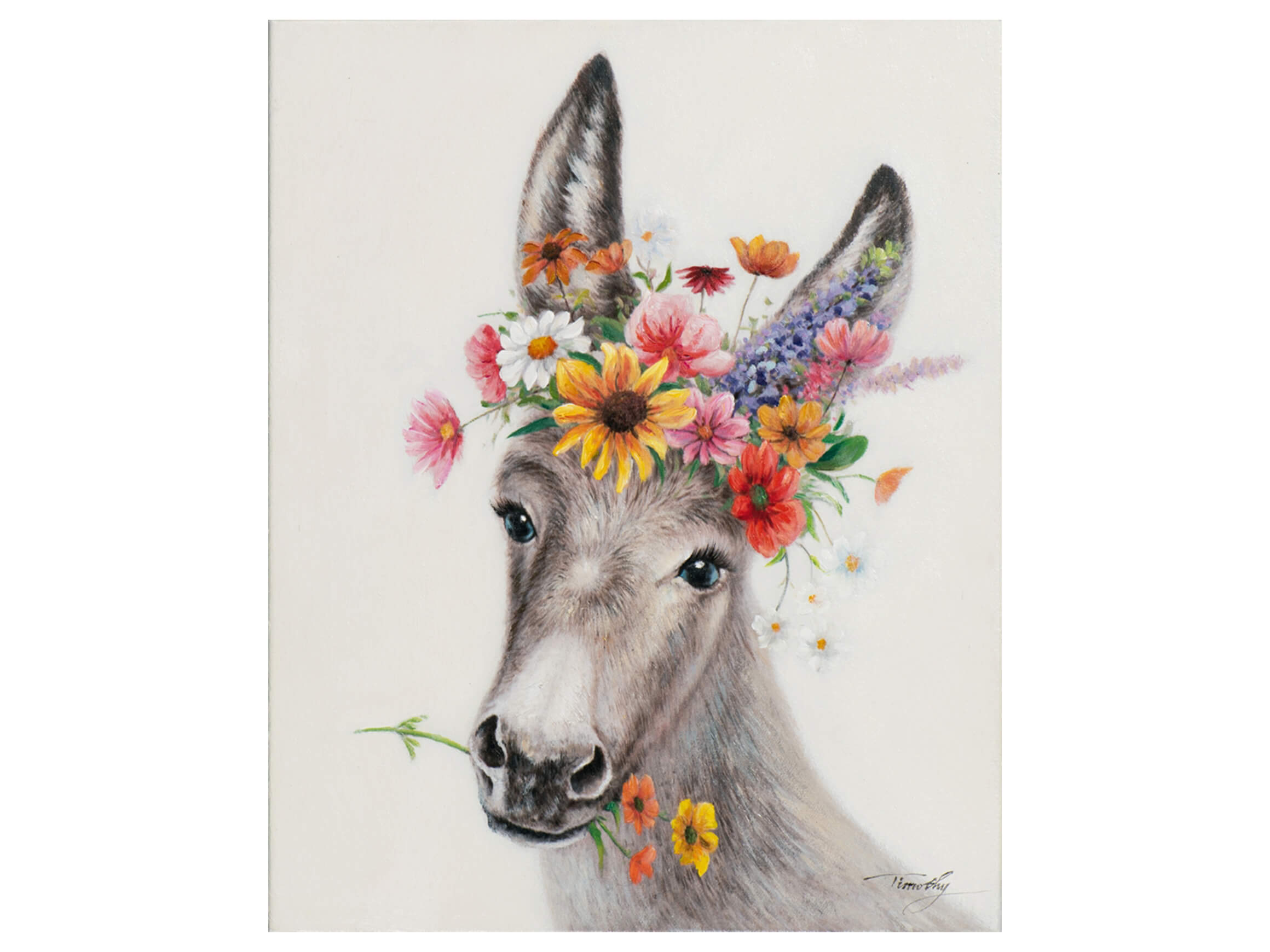 Bild Esel mit Blumen 1 image LAND