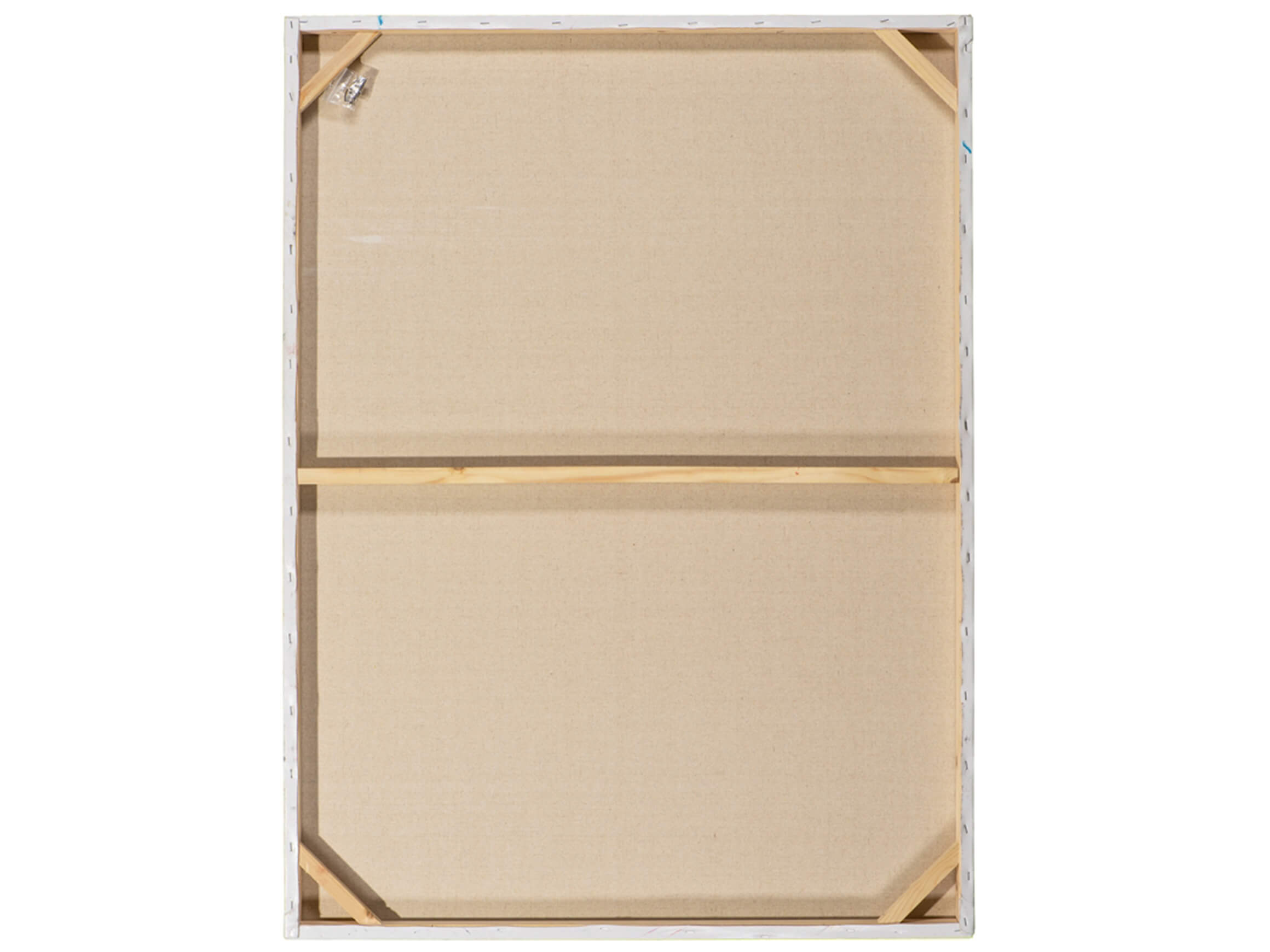 Bild Wehendes Palmblatt image LAND