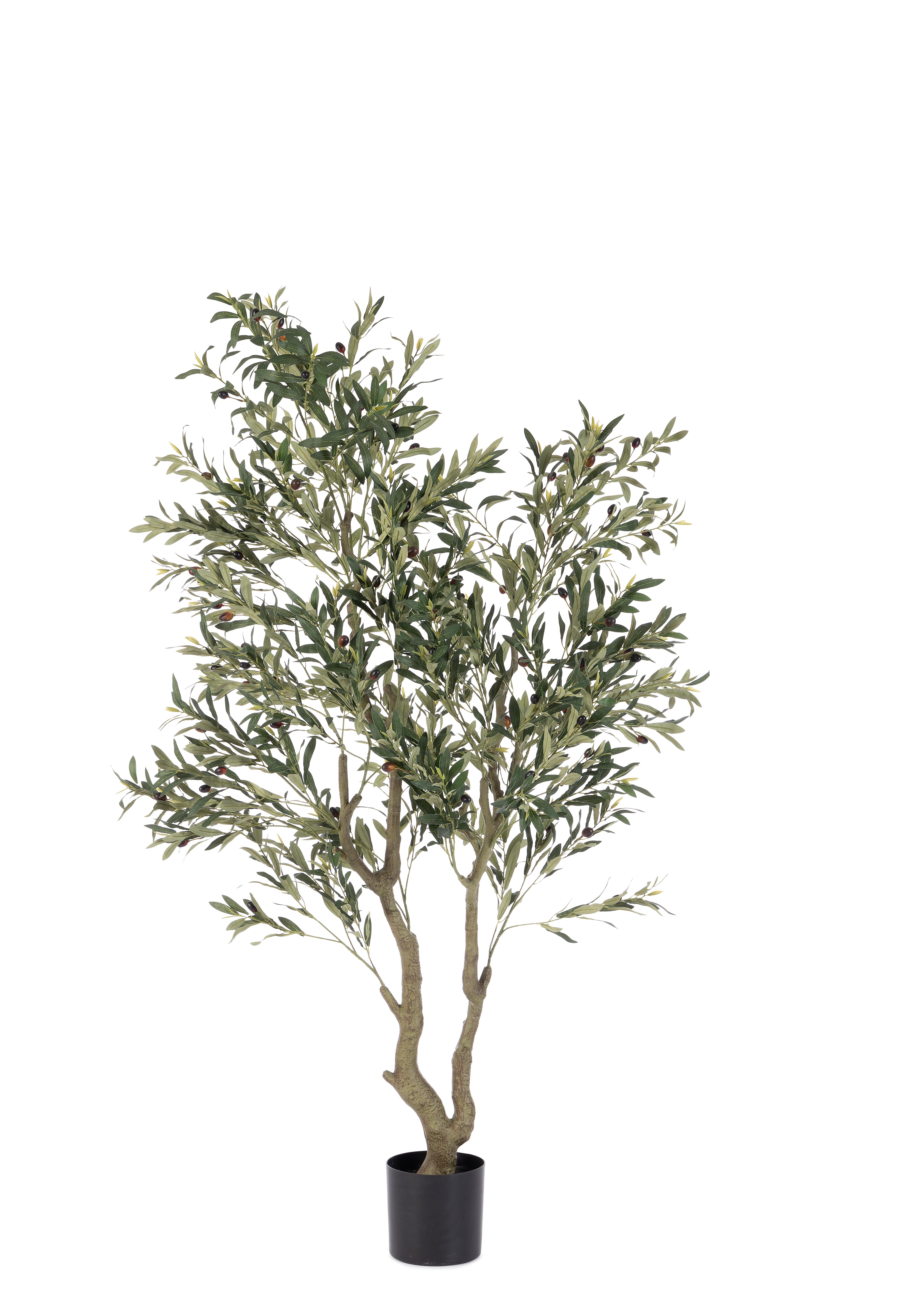 Kunstpflanzen Olivenbaum im Kunststofftopf H: 180 cm Bizzotto / Farbe: Grün