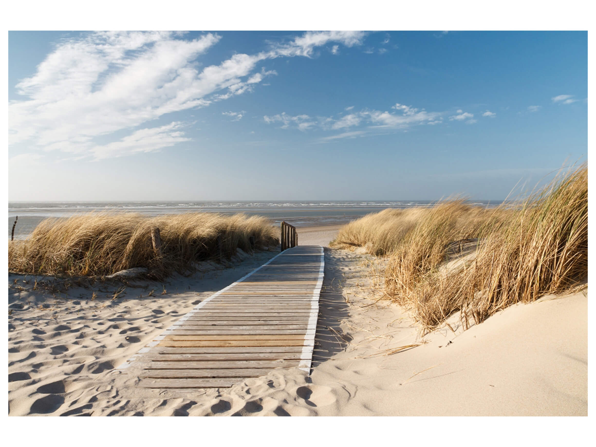 Digitaldruck auf Glas Holzweg Zum Meer 1 image LAND