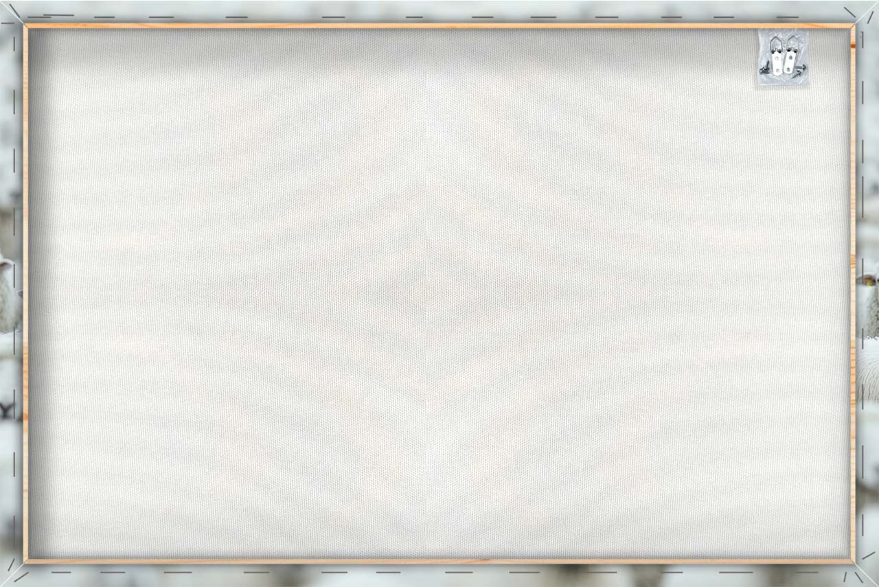 Canvas-Black Sheep-image LAND