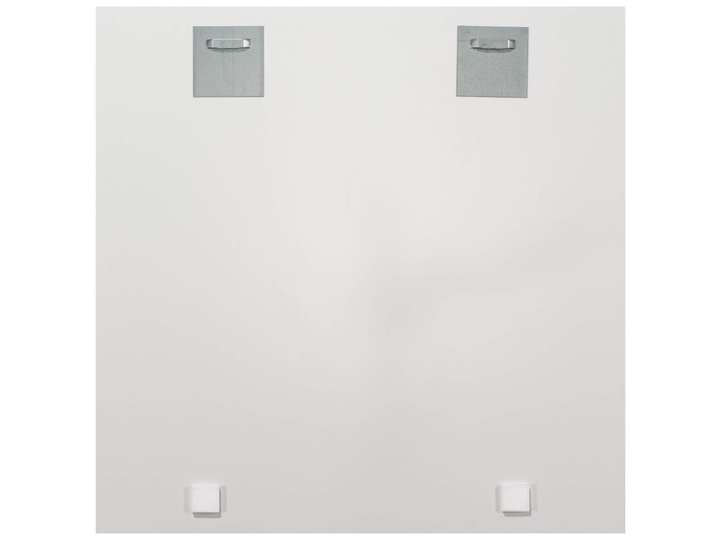 Digitaldruck auf Glas Hund mit Buntem Blumenkranz image LAND