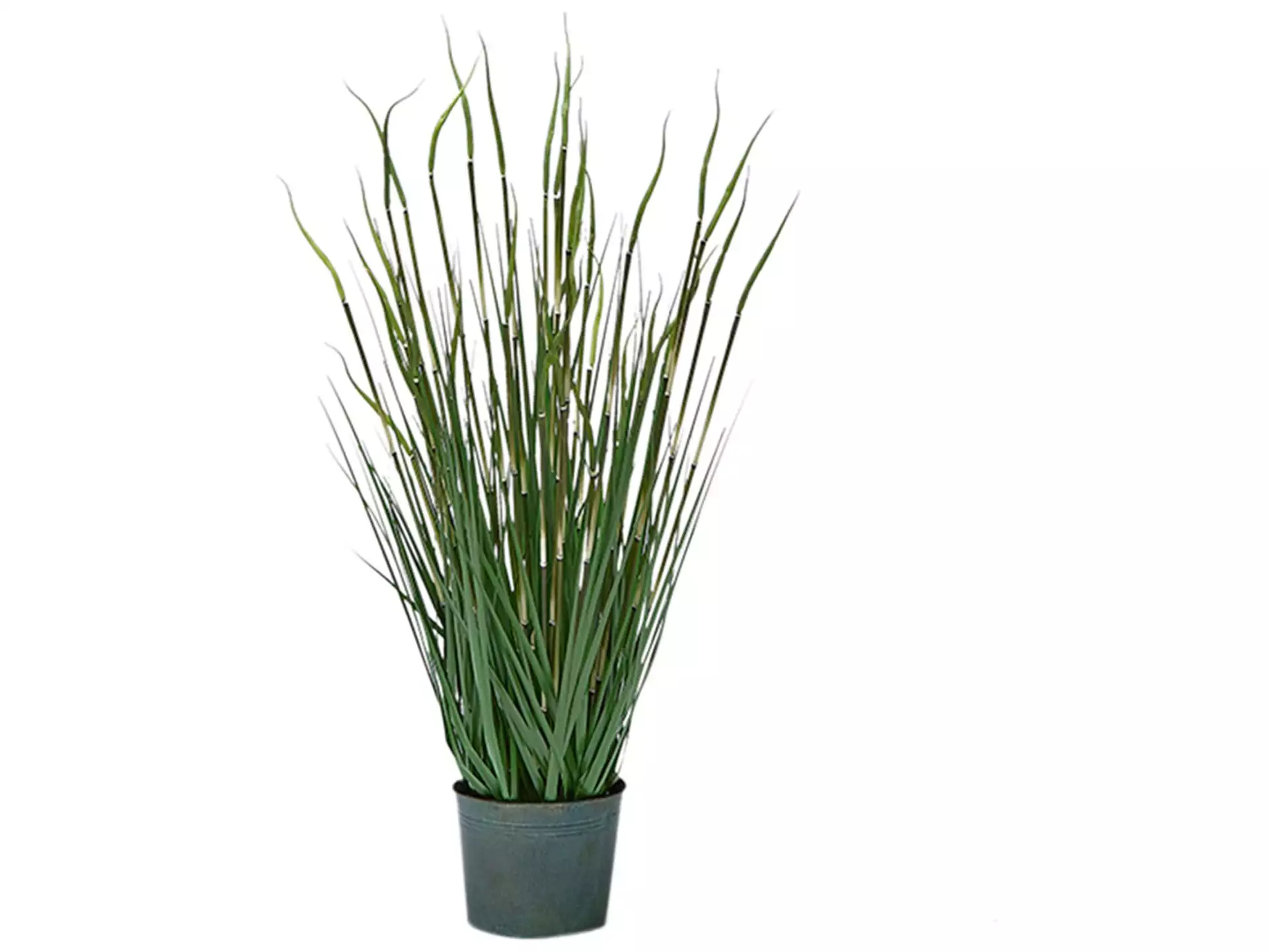 Kunstpflanze Bambusgras h: 70 cm von Edg