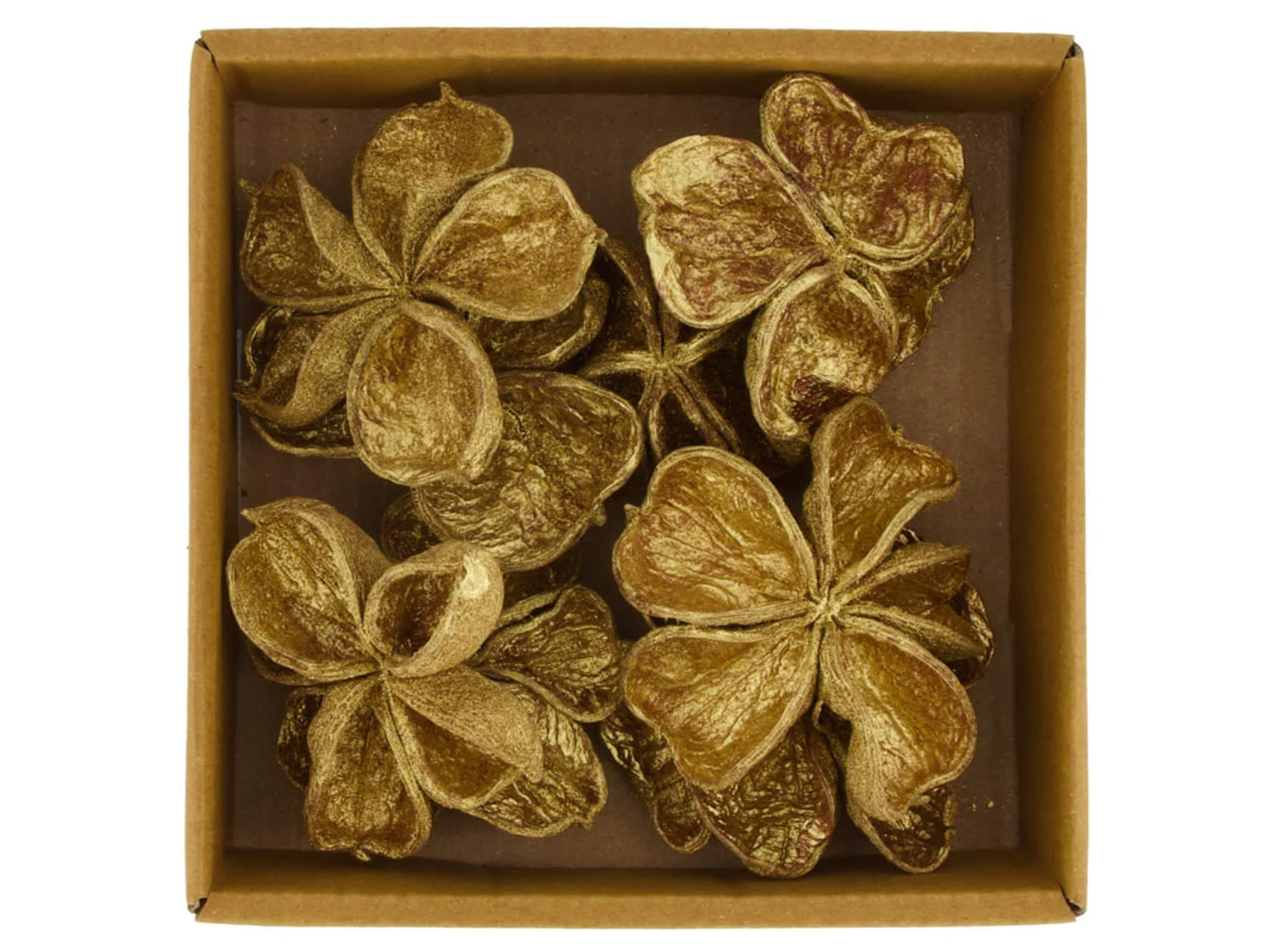 Decofinder Lotosblumen Natur Gold Gelb | Schubiger Möbel