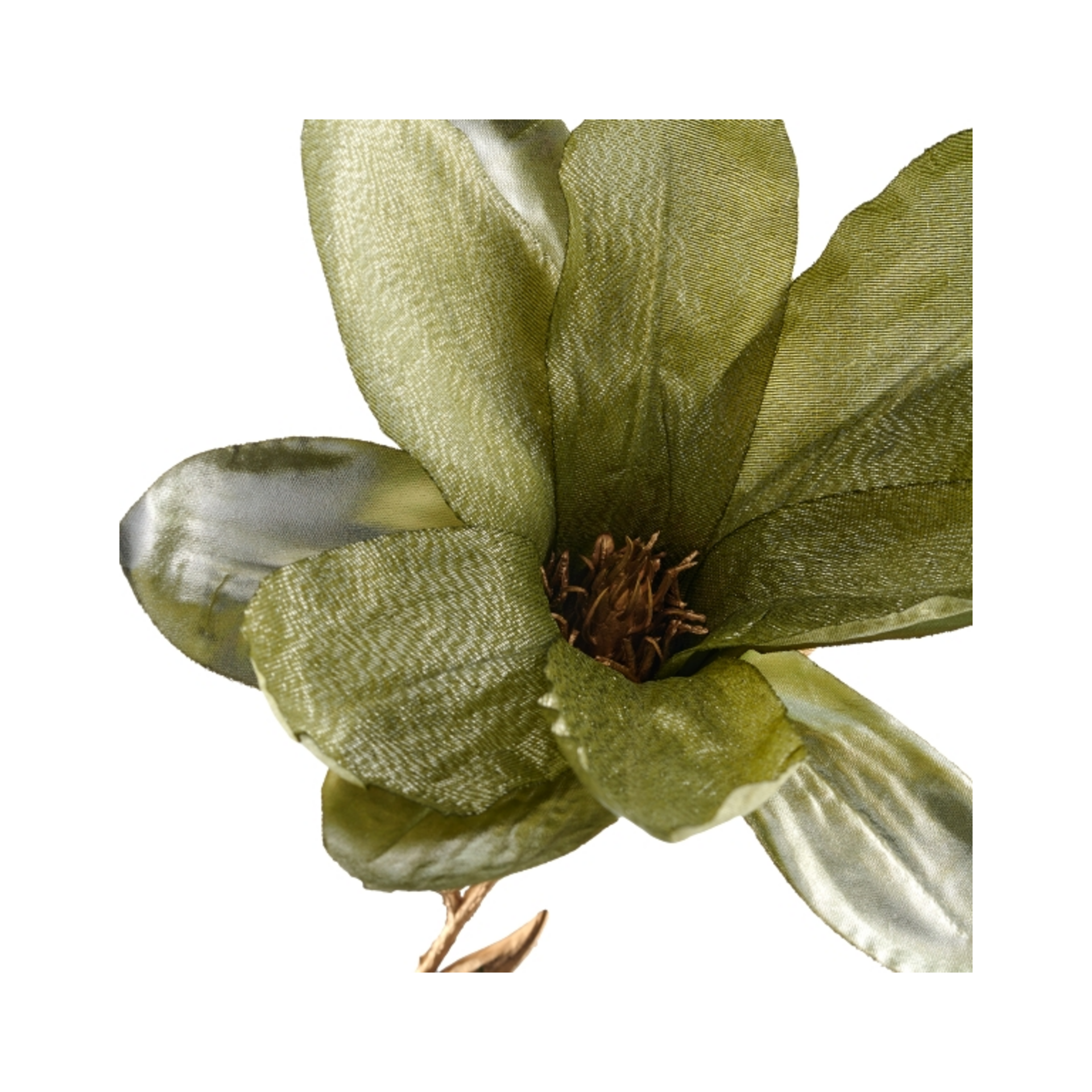 Kunstblumen Magnolie, Grün Gasper