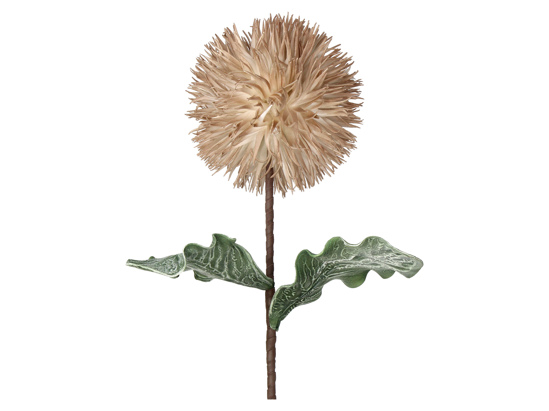 Kunstblumen Blüte Beige H: 76 cm Kersten