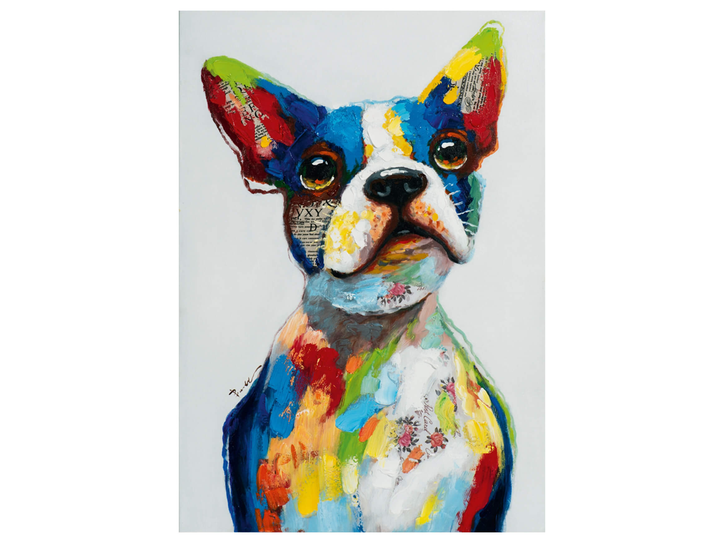 Bild Lustiger Bunter Hund image LAND